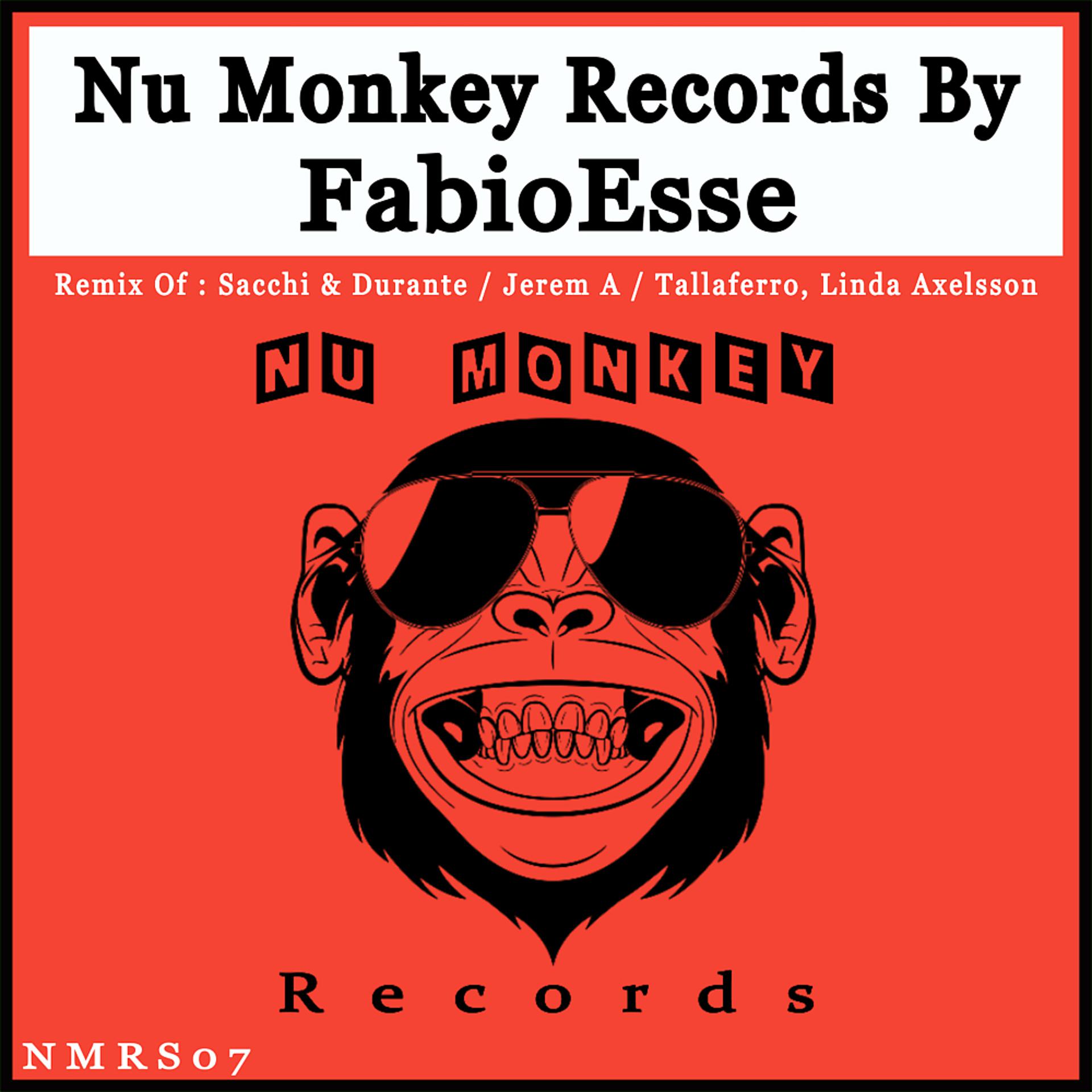 Постер альбома Nu Monkey Records By FabioEsse