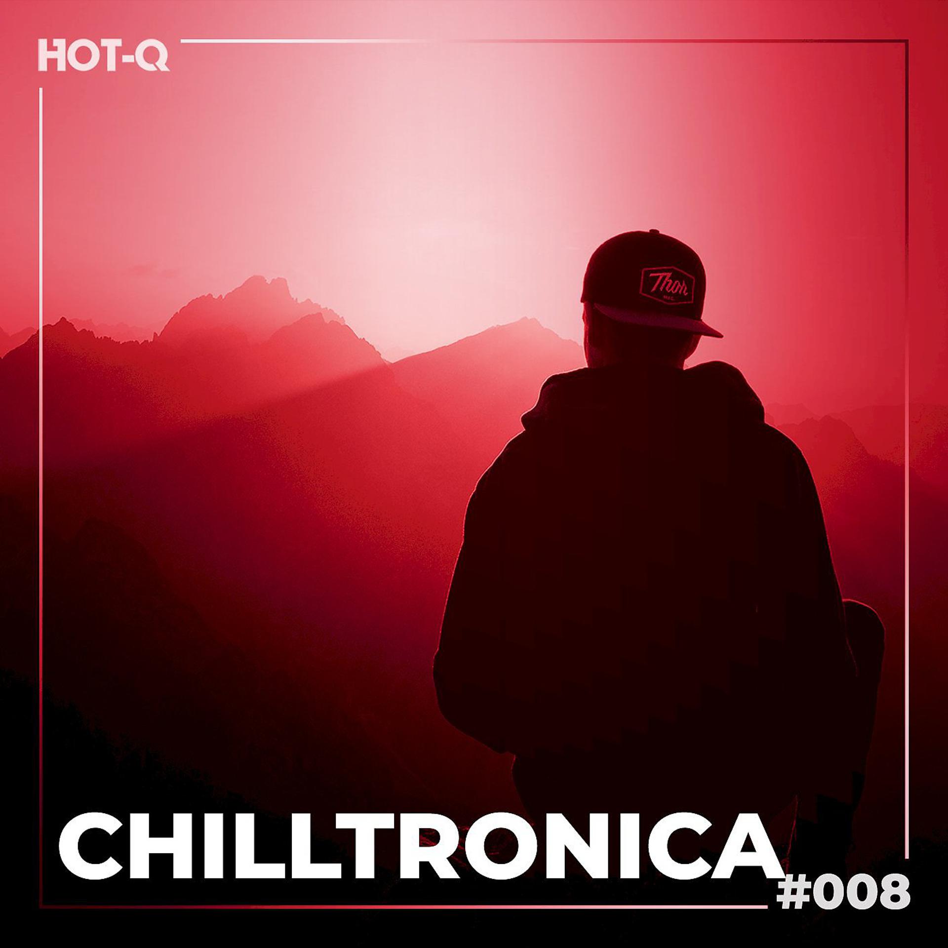 Постер альбома Chilltronica 008