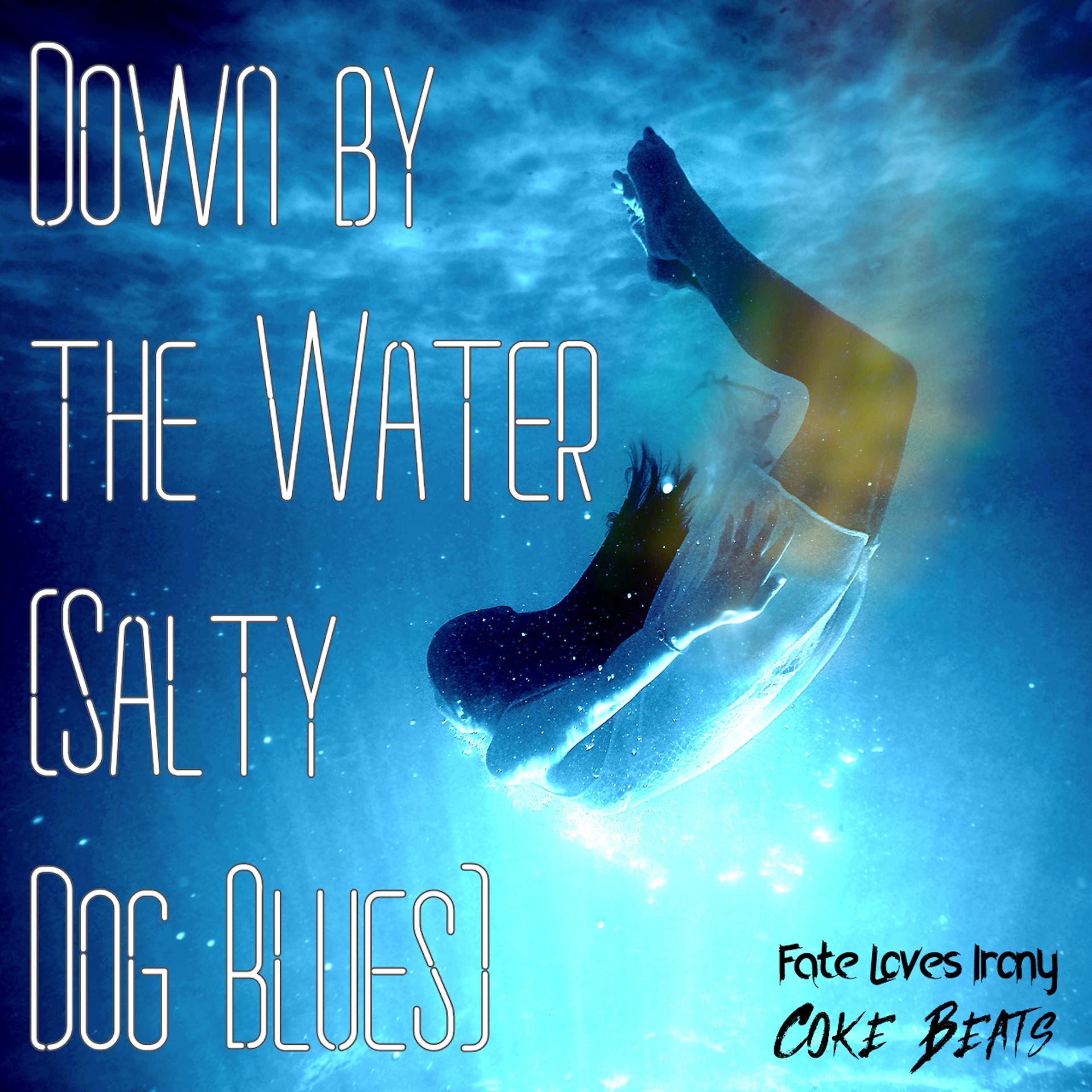 Постер альбома Down by the Water (Salty Dog Blues) (Dnb Cover)