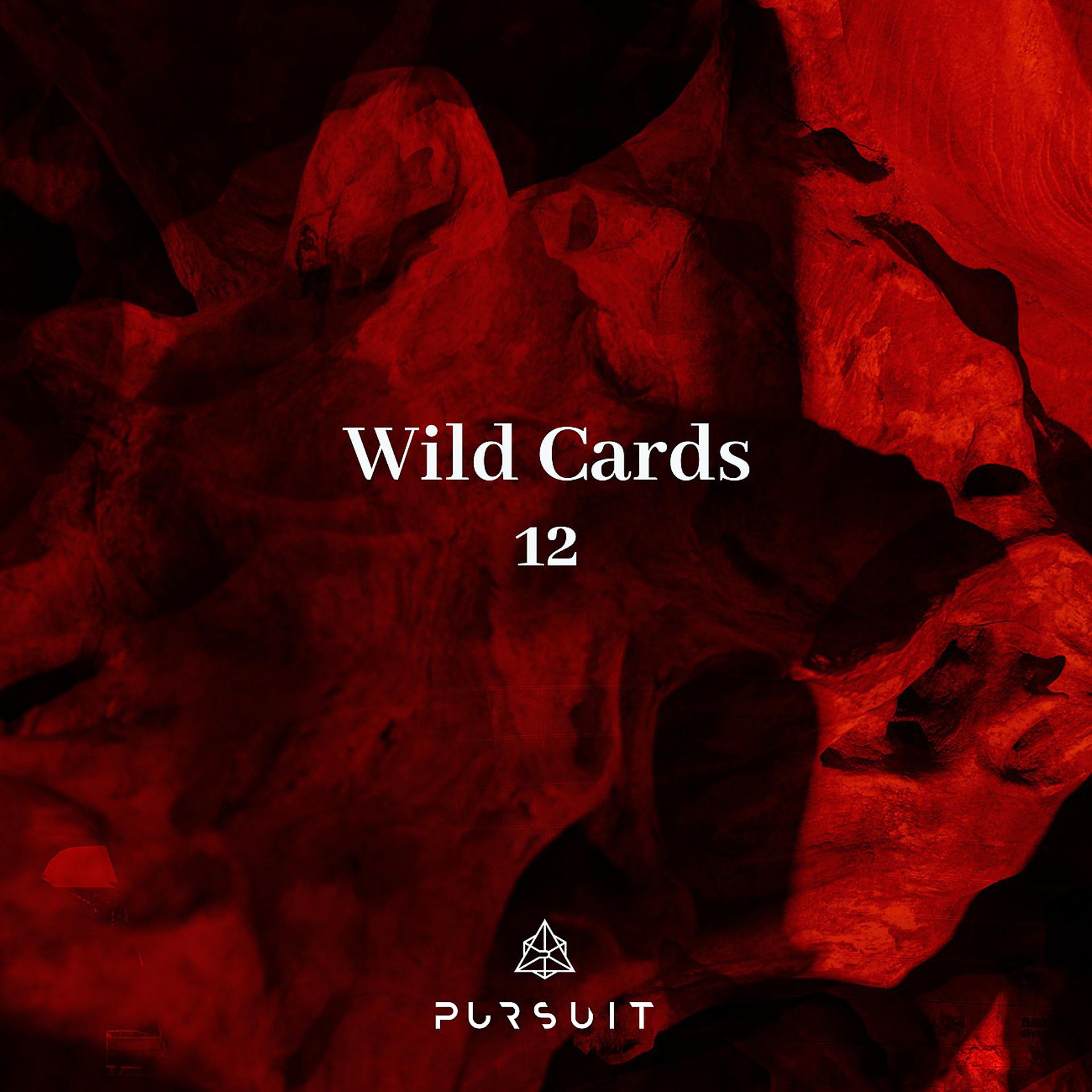 Постер альбома Wild Cards 12