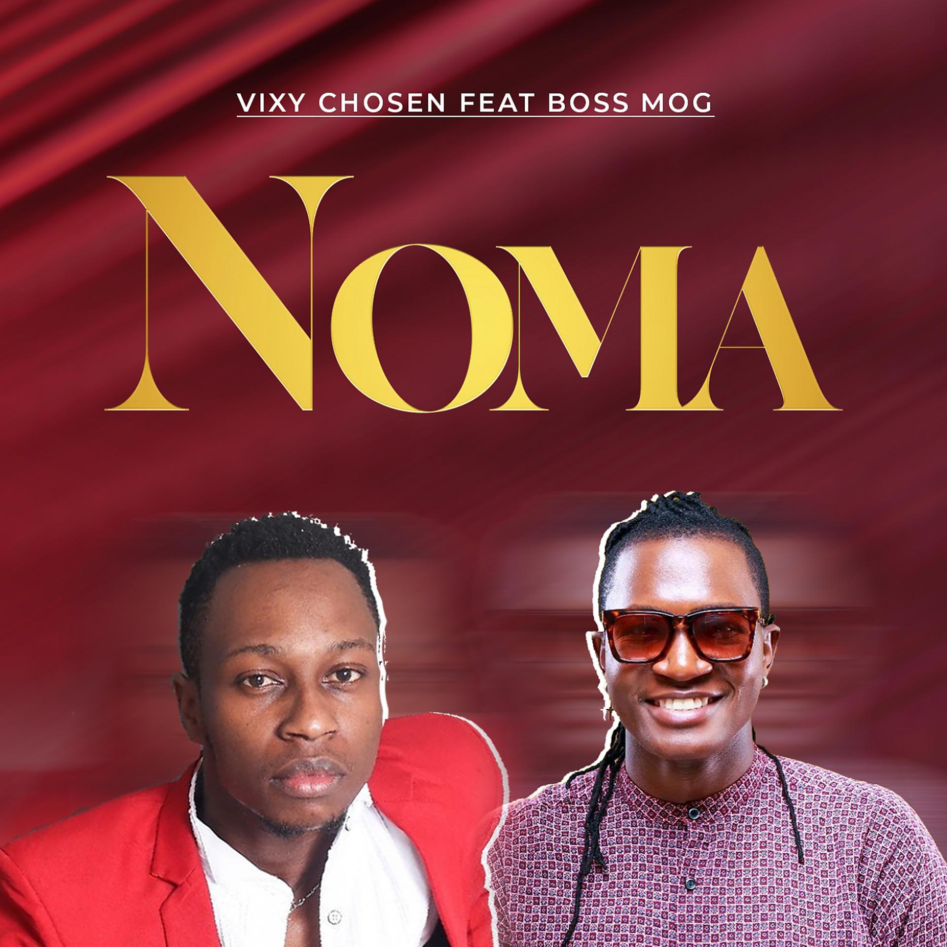 Постер альбома Noma