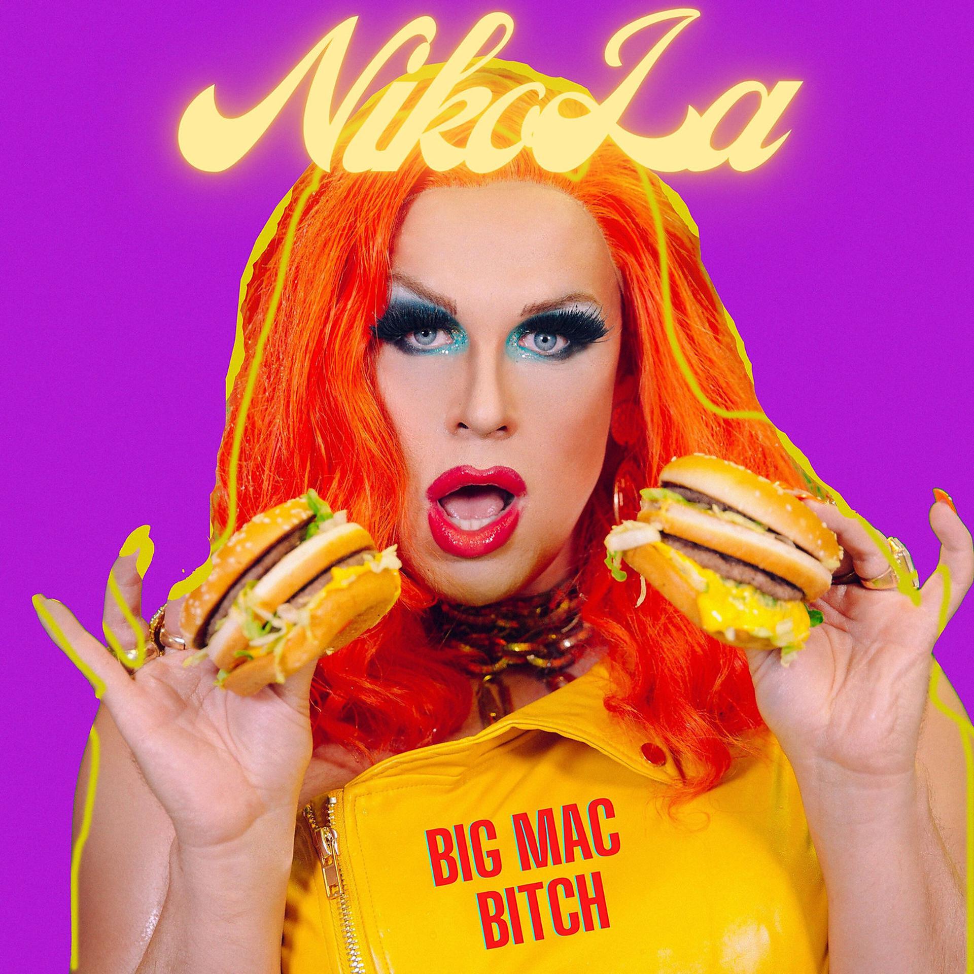 Постер альбома Big Mac Bitch