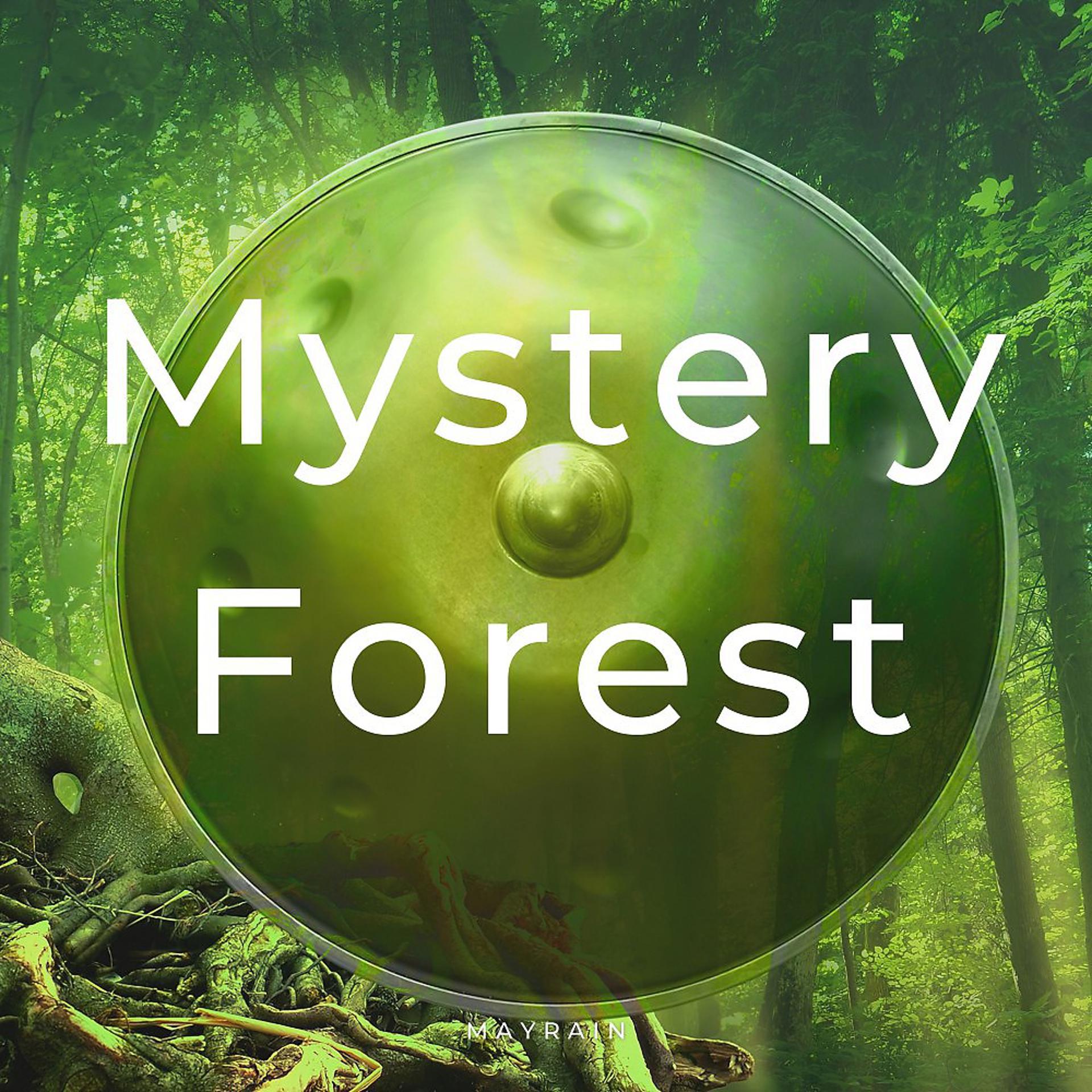 Постер альбома Mystery Forest