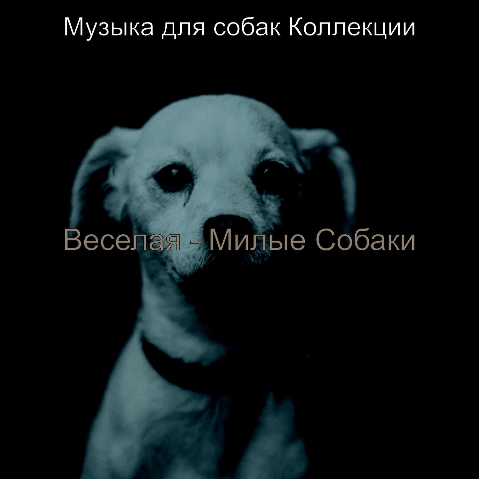 Постер альбома Веселая - Милые Собаки
