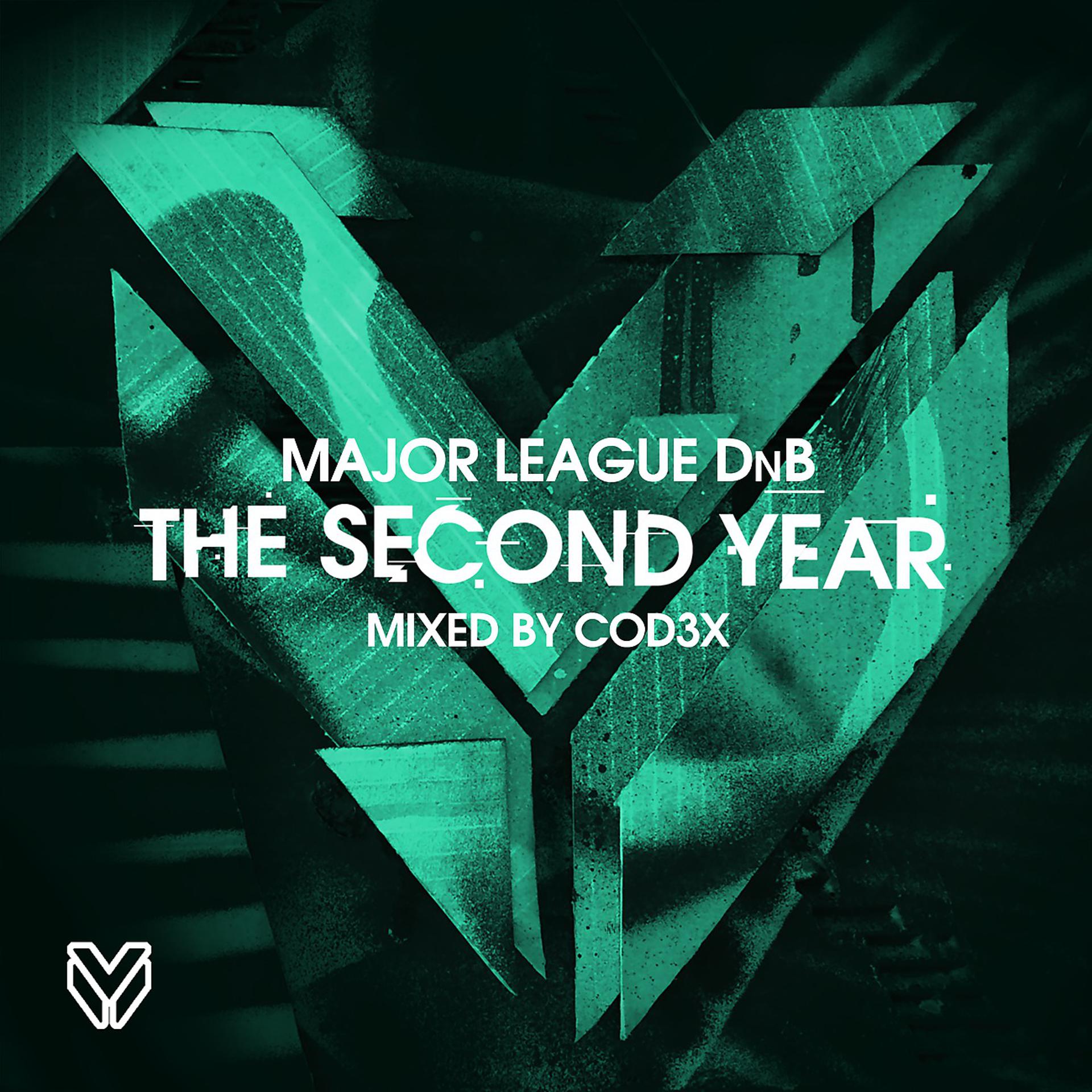 Постер альбома The Second Year - Mixed by Cod3x