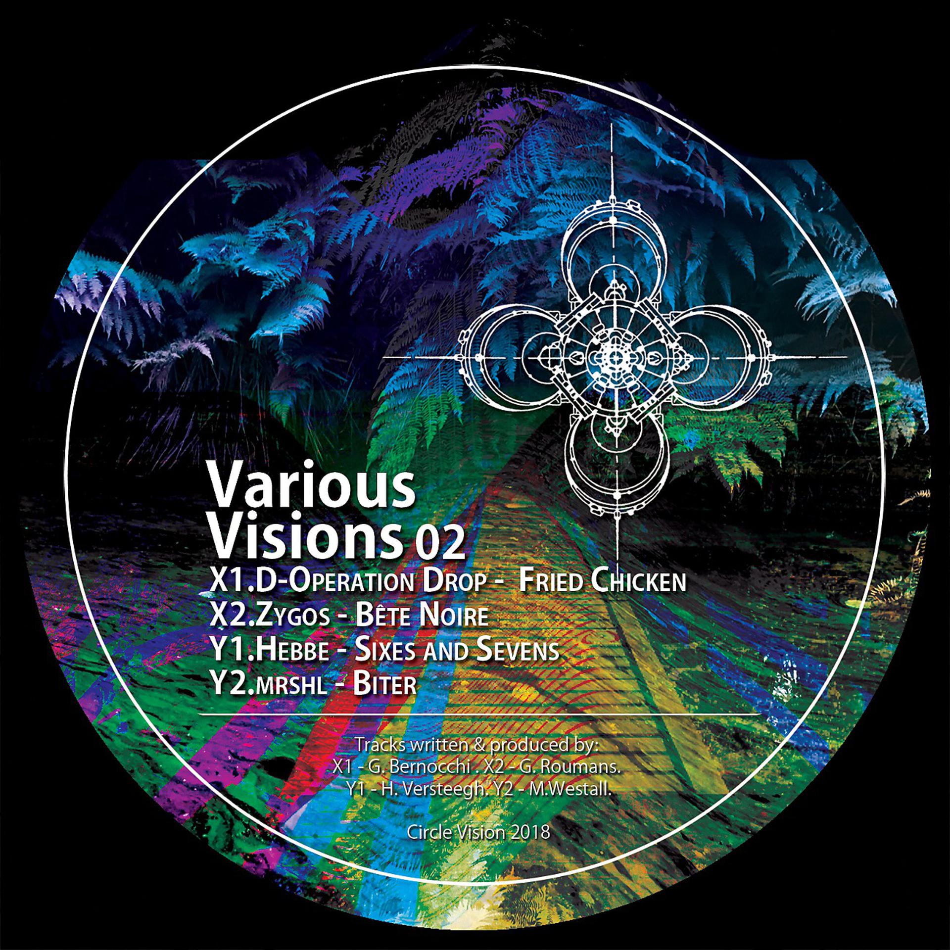 Постер альбома Various Visions 02
