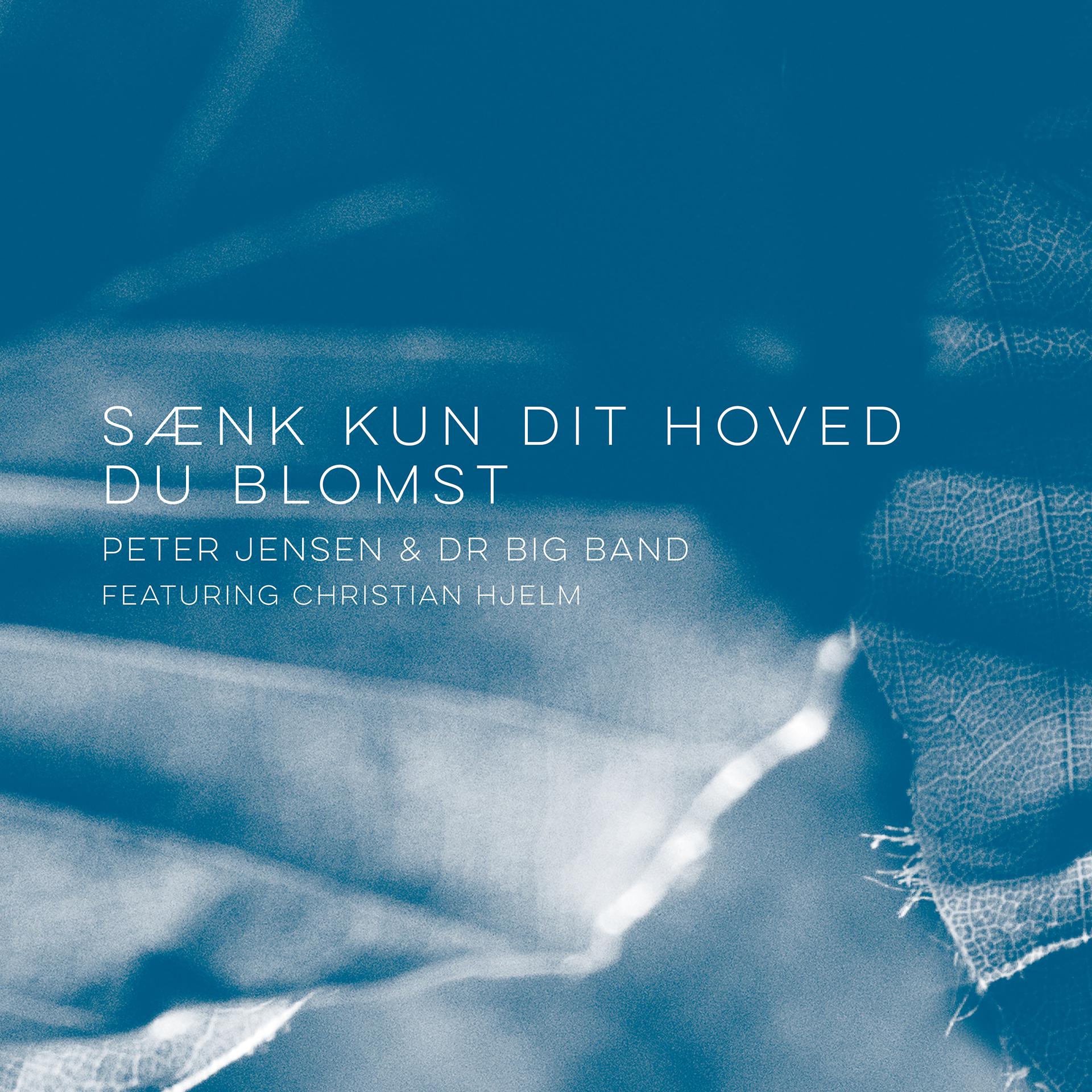 Постер альбома Sænk kun dit hoved du blomst