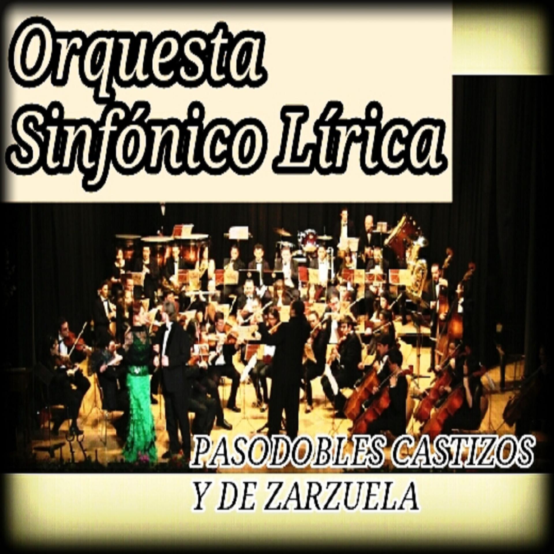 Постер альбома Pasodobles Castizos y de Zarzuela