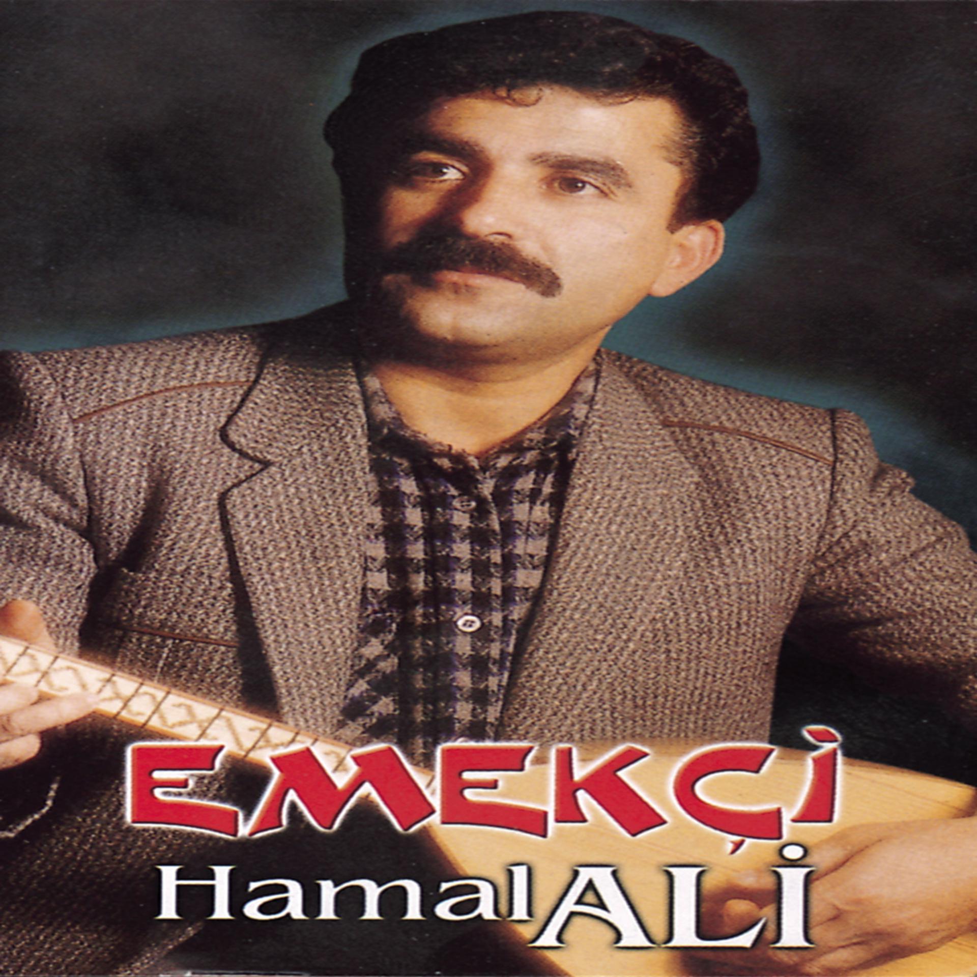 Постер альбома Hamal Ali