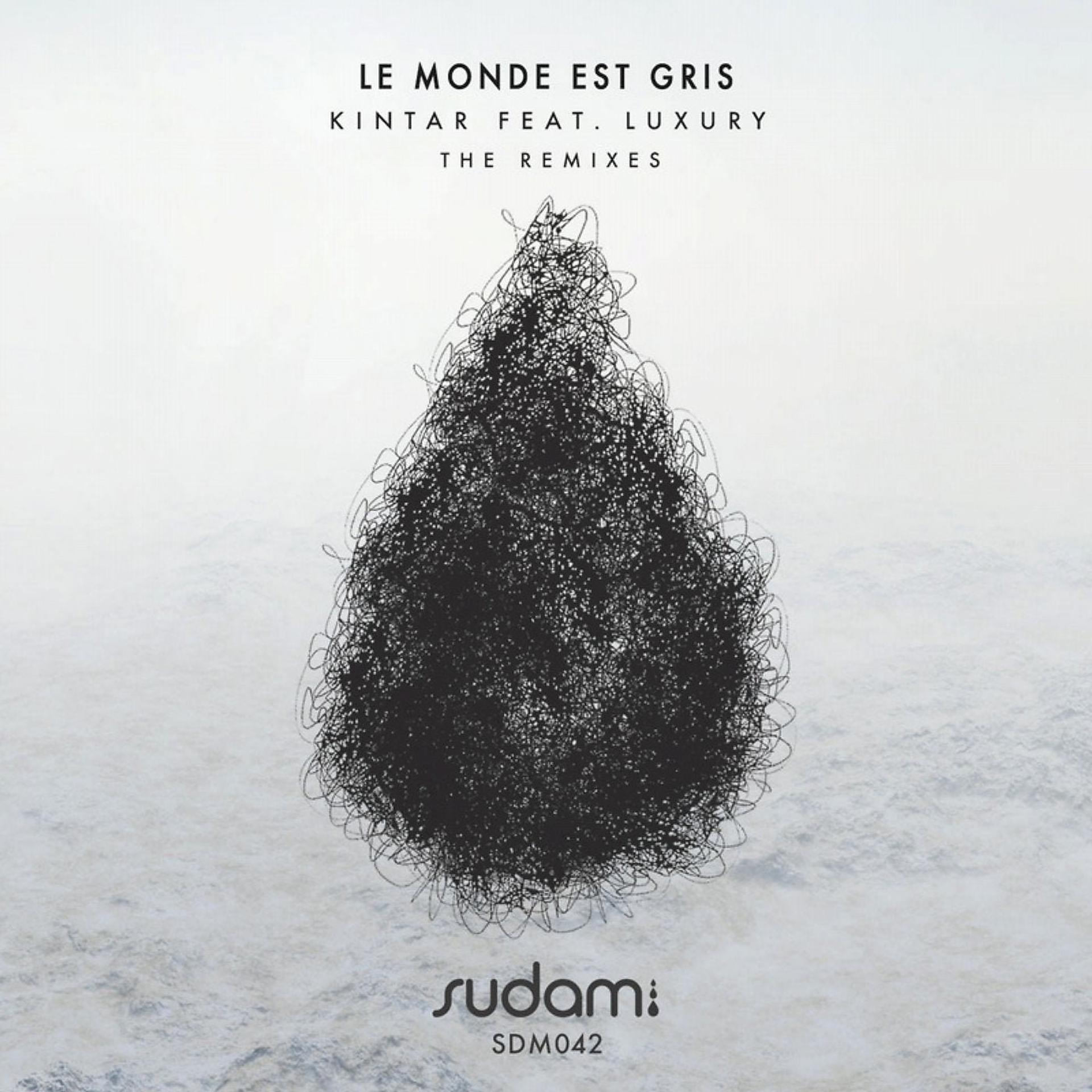 Постер альбома Le Monde Est Gris