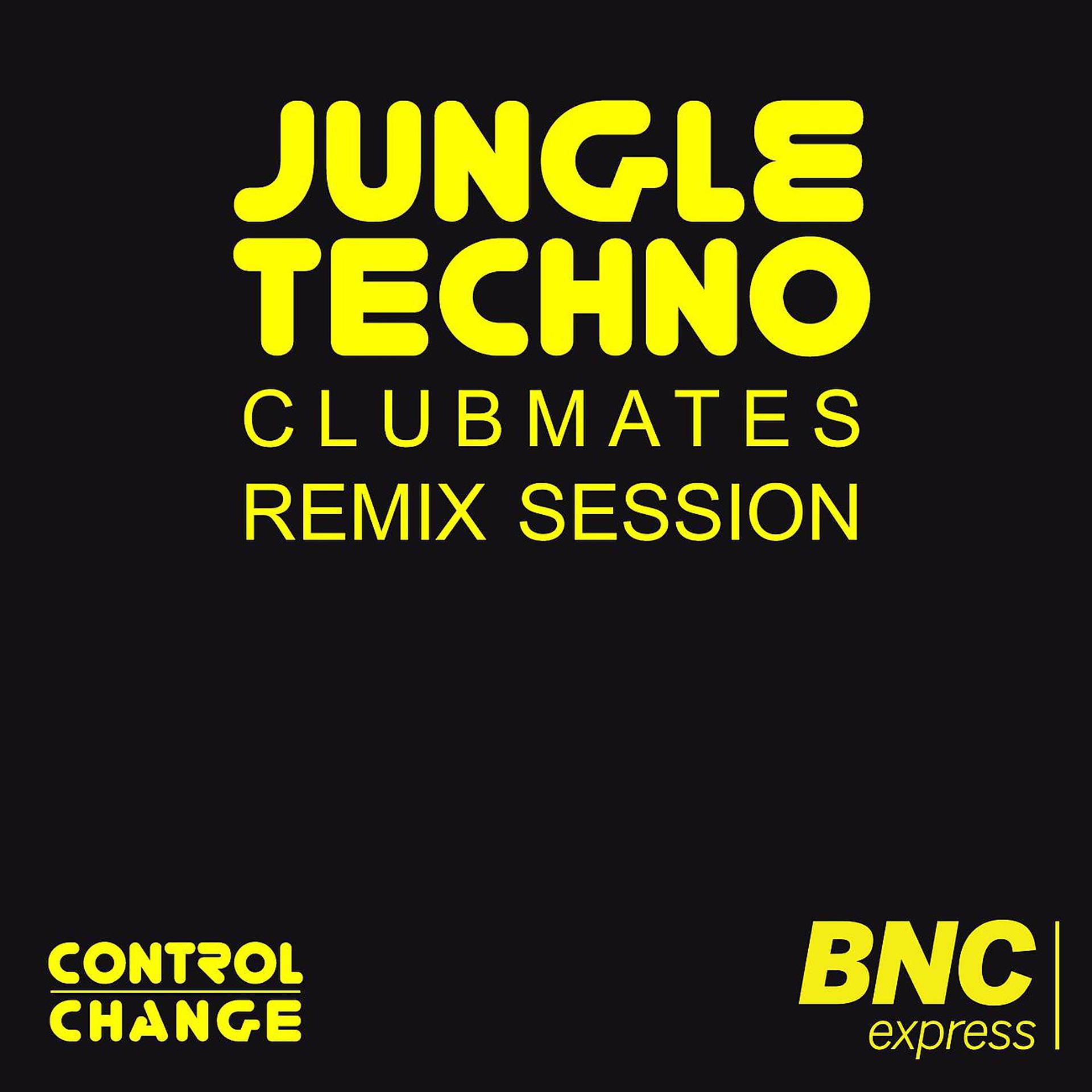 Постер альбома Jungle Techno Club Mates Remix Session