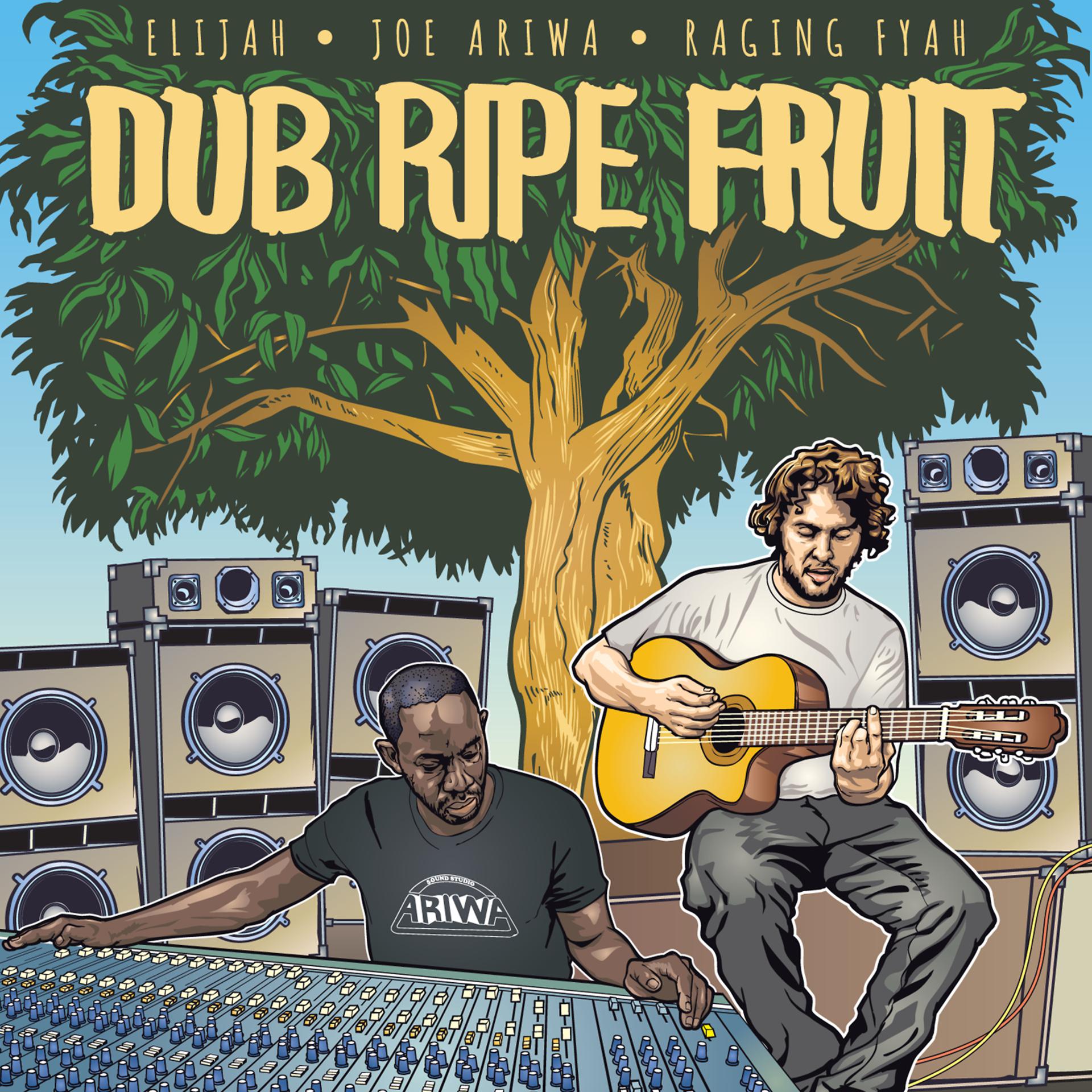 Постер альбома Dub Ripe Fruit