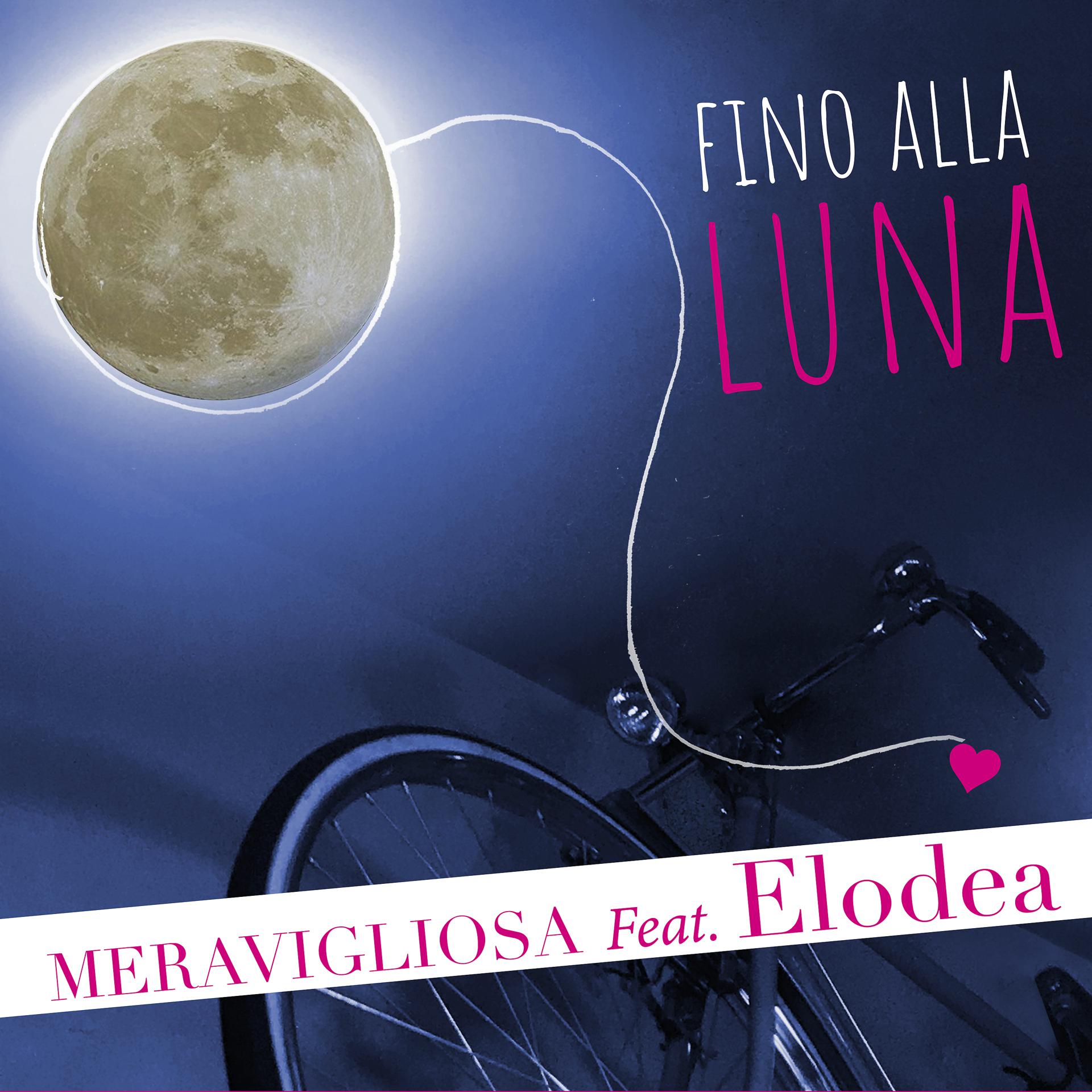 Постер альбома Fino alla luna