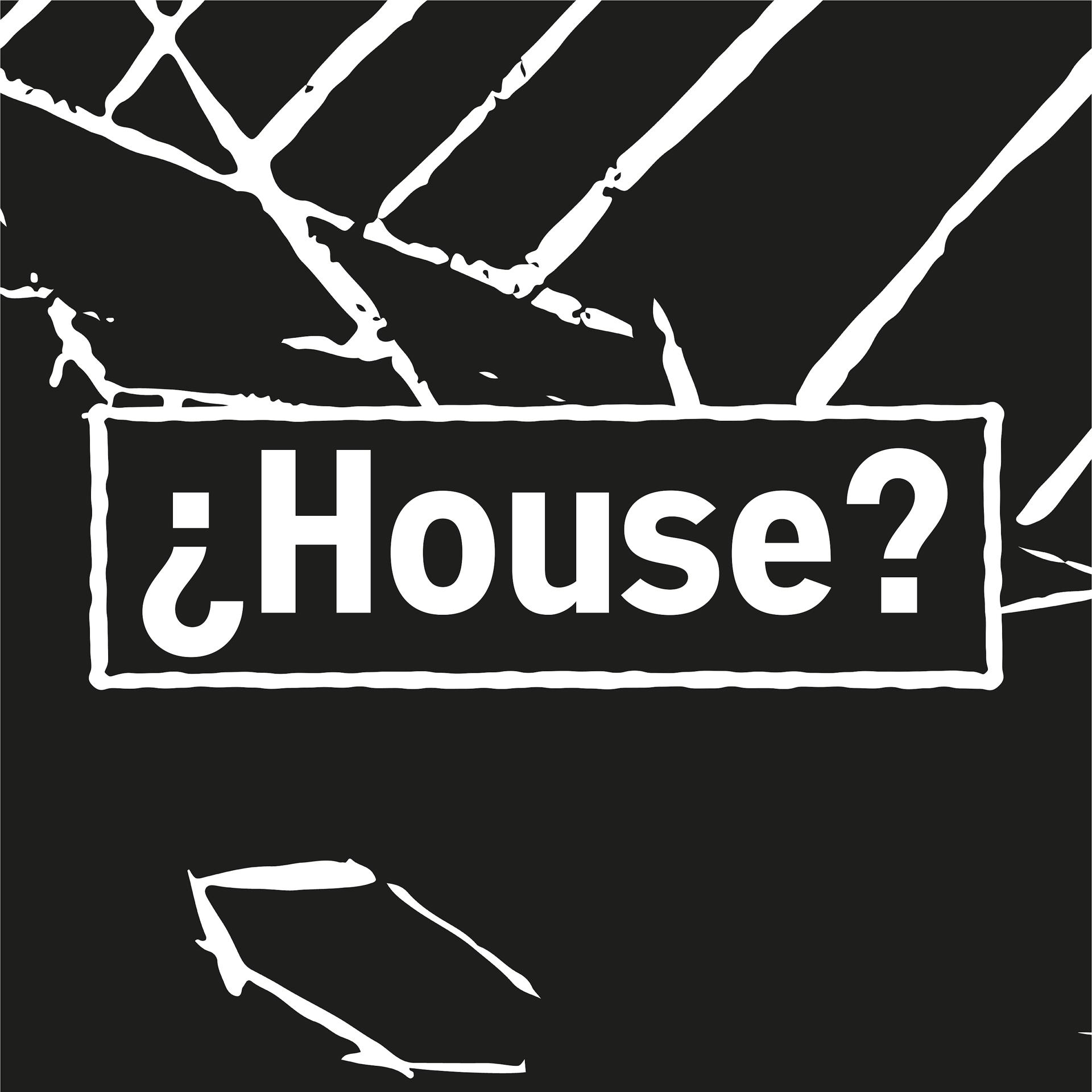 Постер альбома ¿House?
