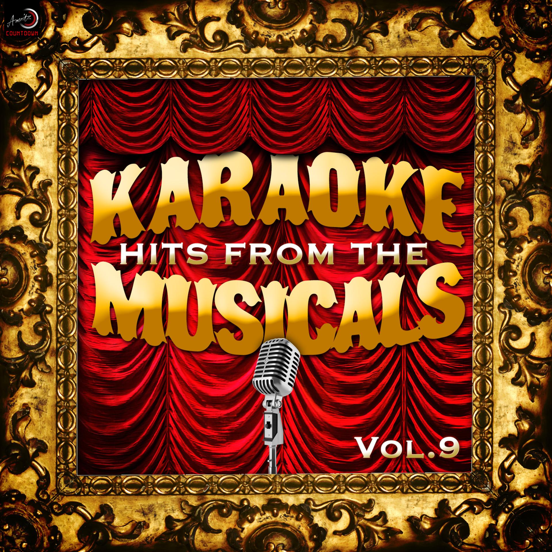 Постер альбома Karaoke - Hits from the Musicals, Vol. 9