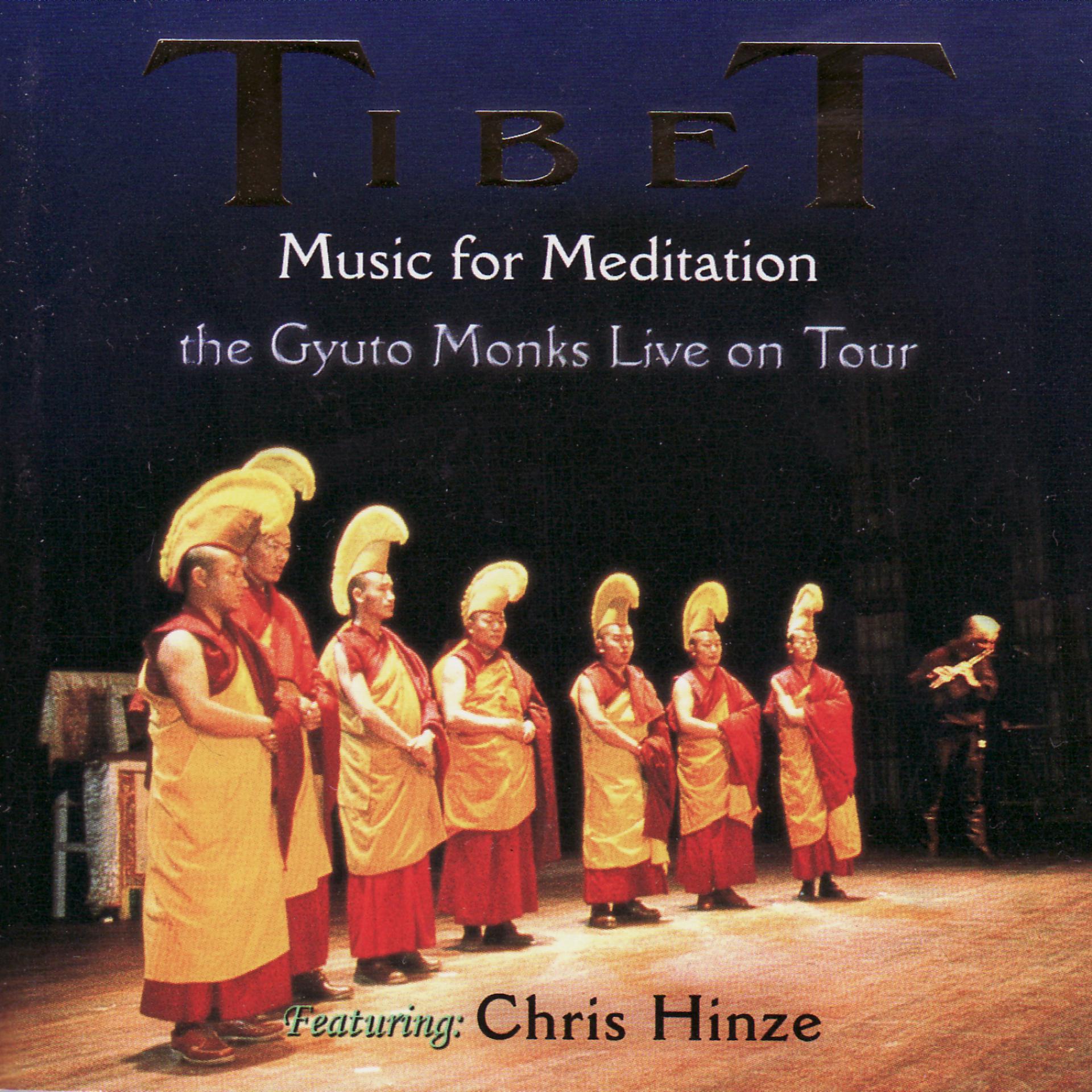 Постер альбома Tibet, The Gyuto Monks Live On Tour