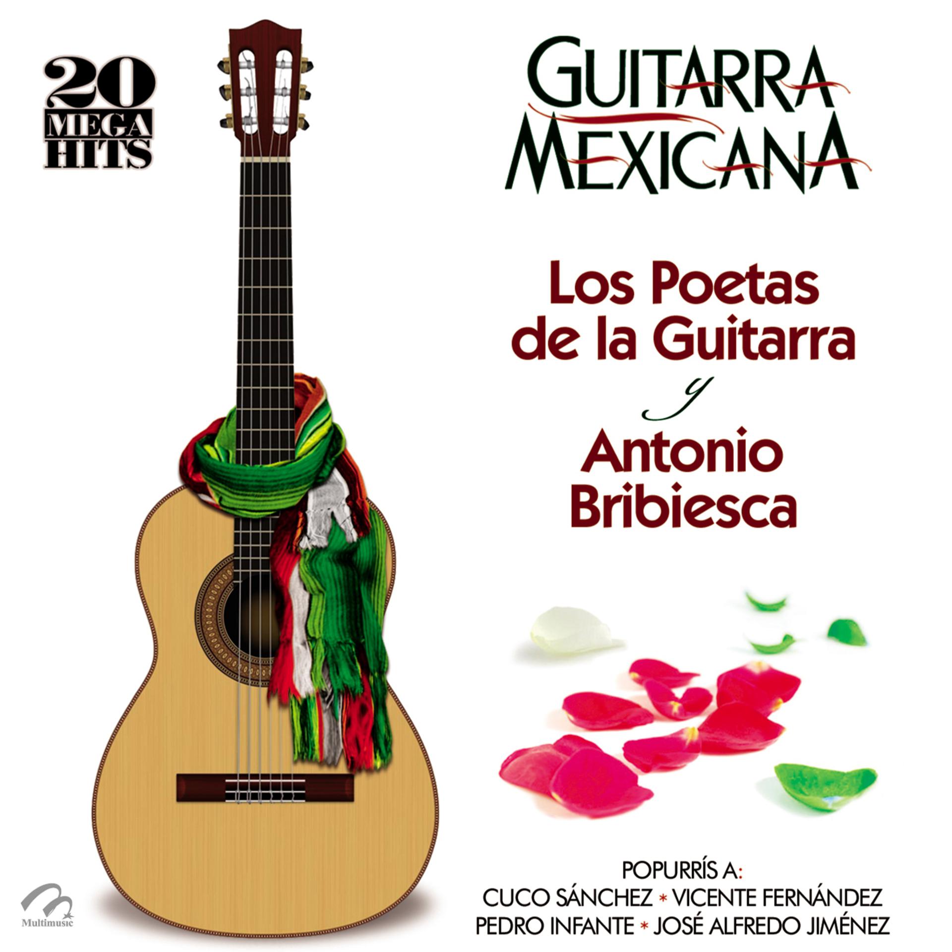 Постер альбома Guitarra Mexicana (20 Mega Hits) Los Poetas de la Guitarra y Antonio Bribiesca