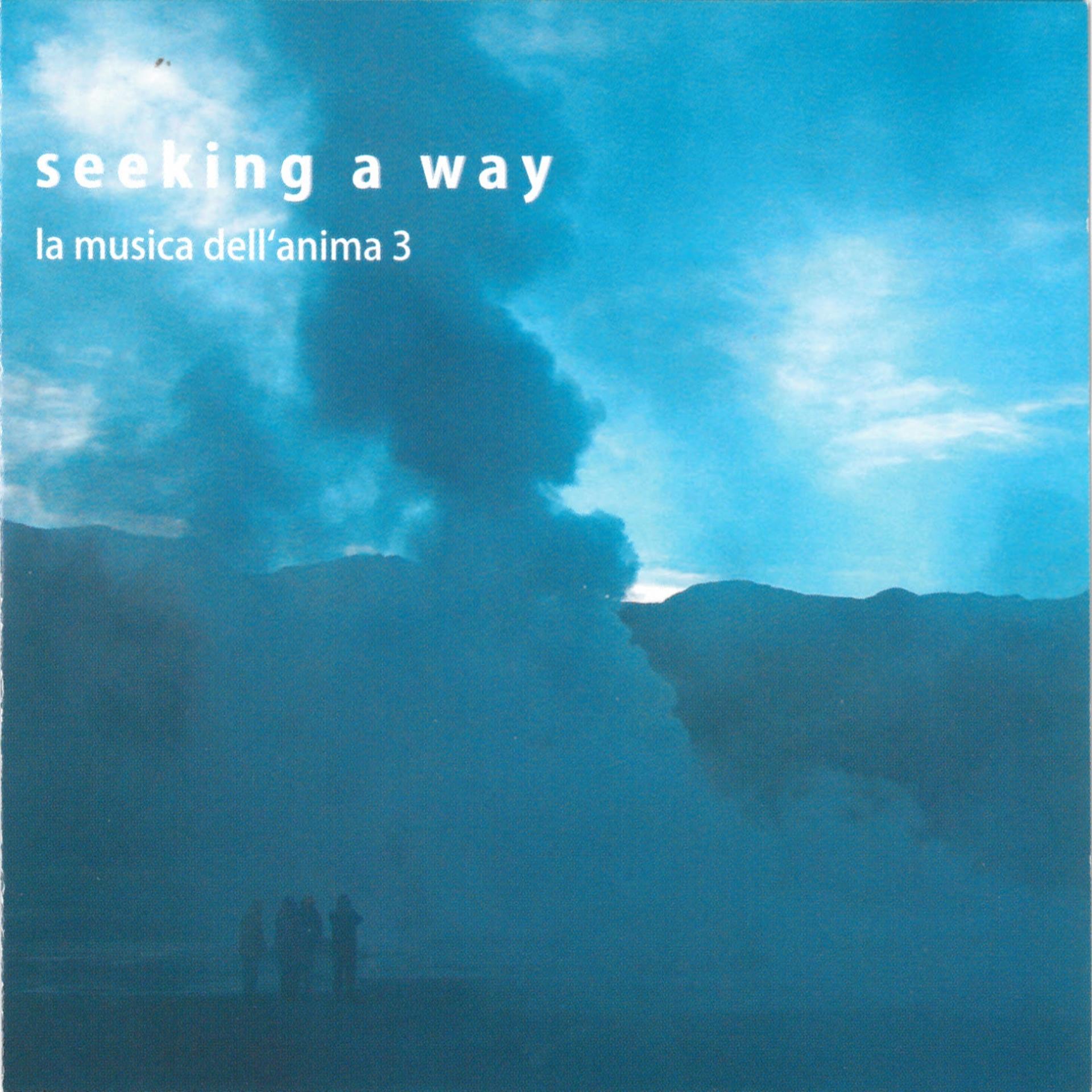 Постер альбома Seeking a way, la musica dell'anima, Vol.  3