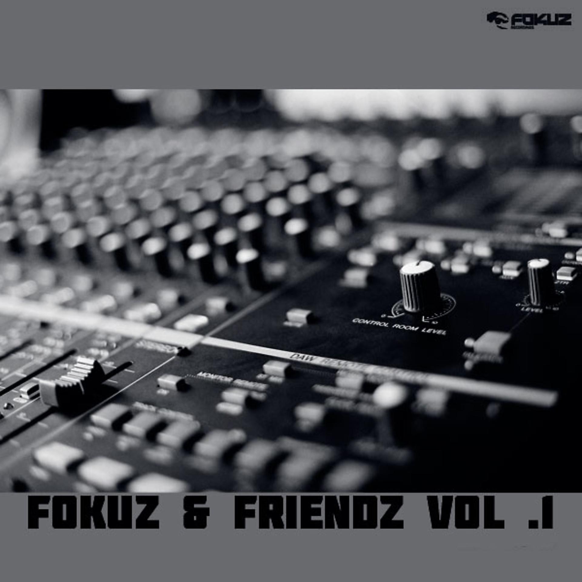 Постер альбома Fokuz & Friends Vol. 1
