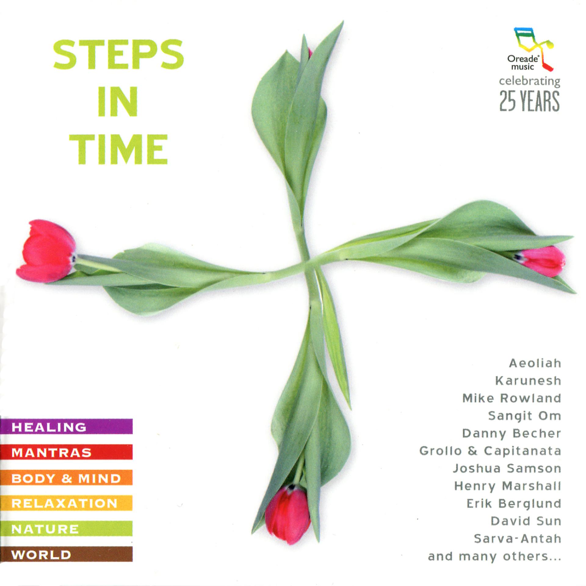 Постер альбома Steps in Time