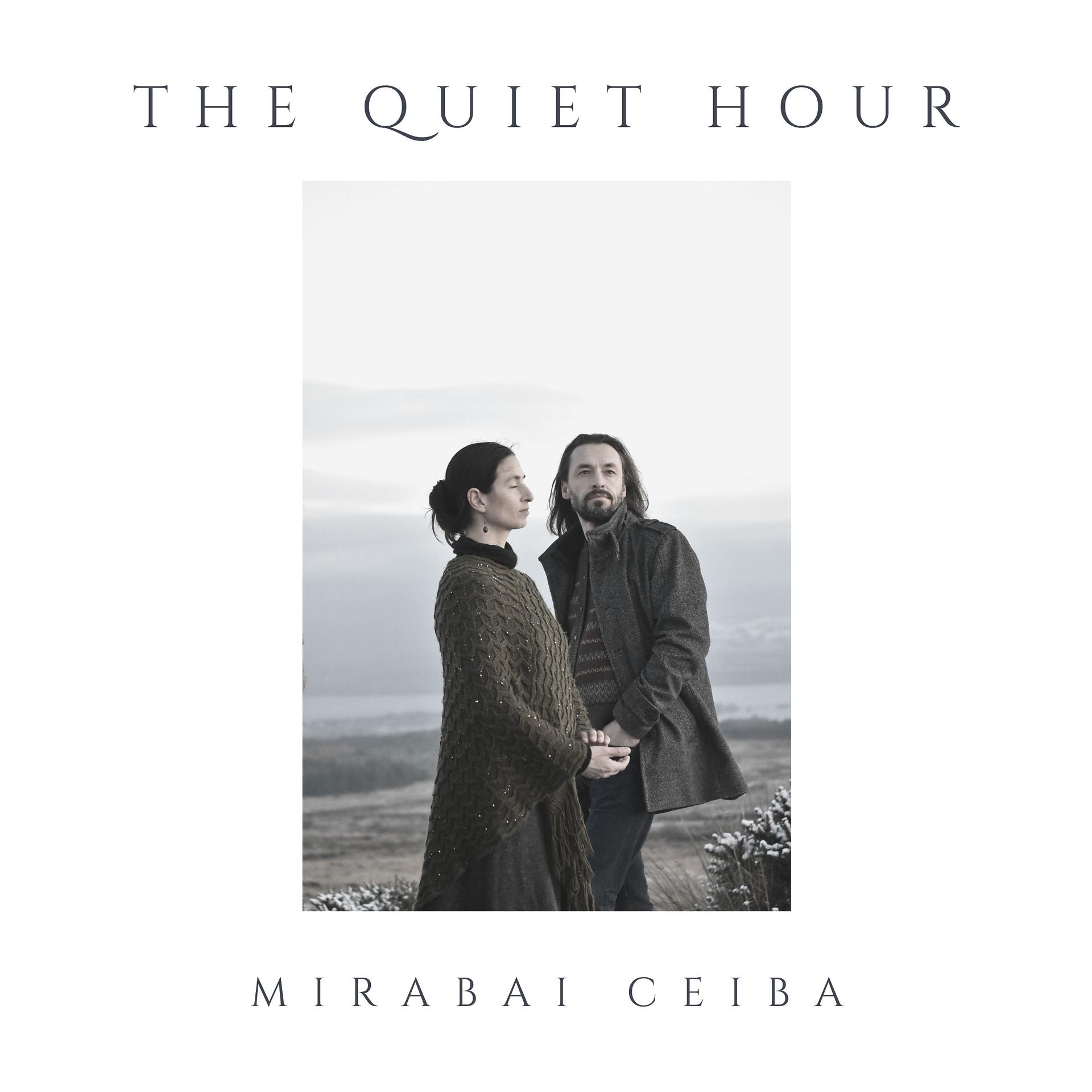 Постер альбома The Quiet Hour