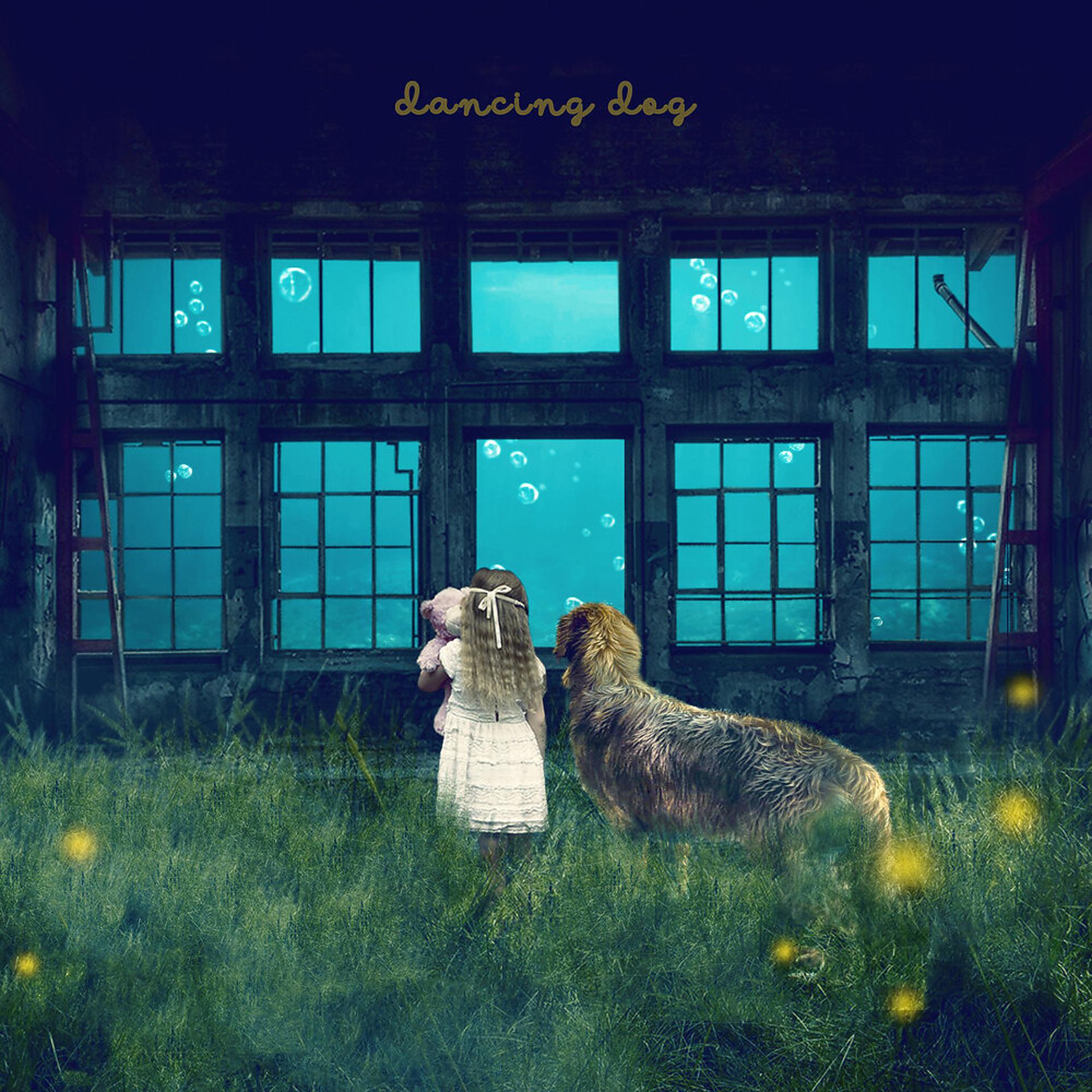 Постер альбома Dancing Dog