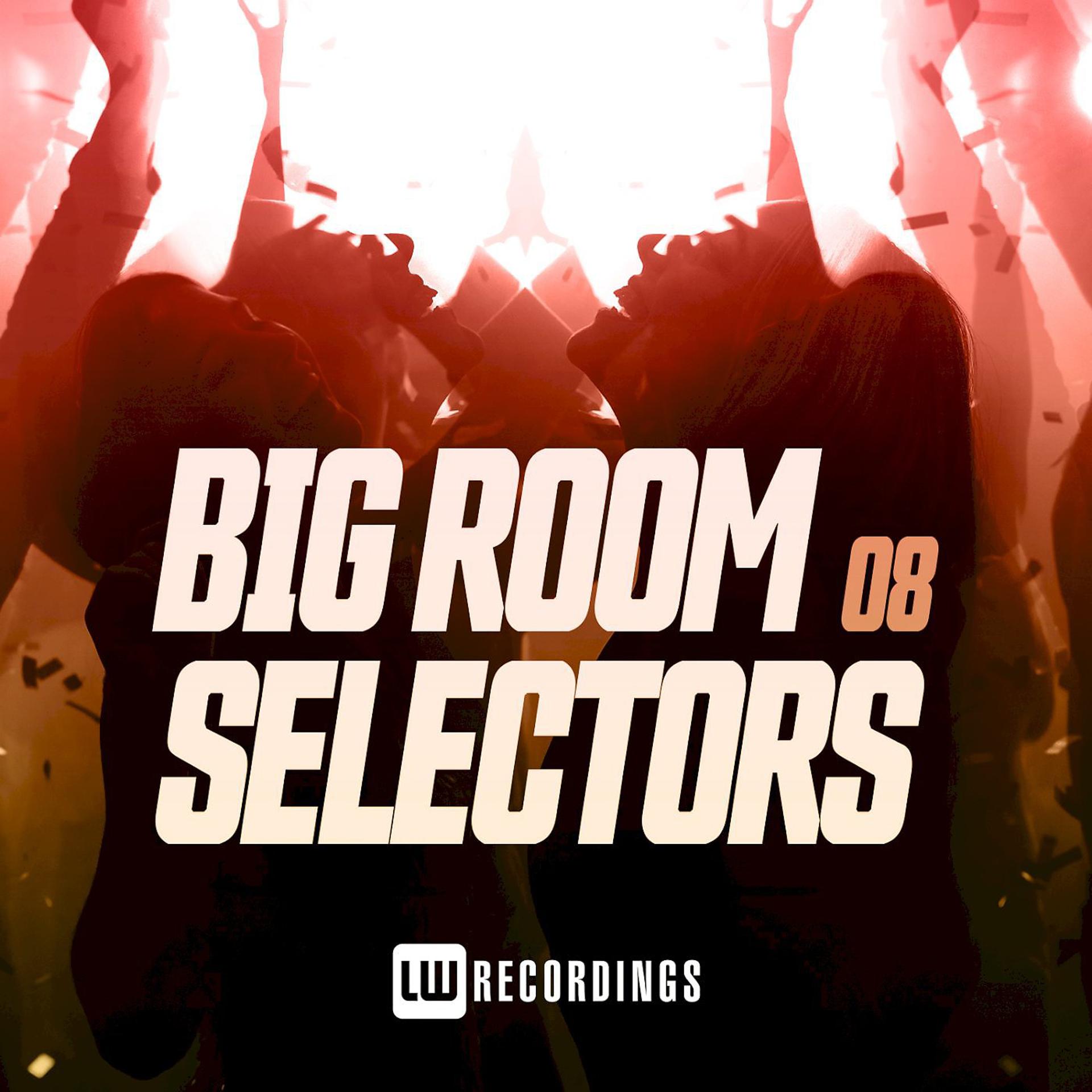 Постер альбома Big Room Selectors, 08