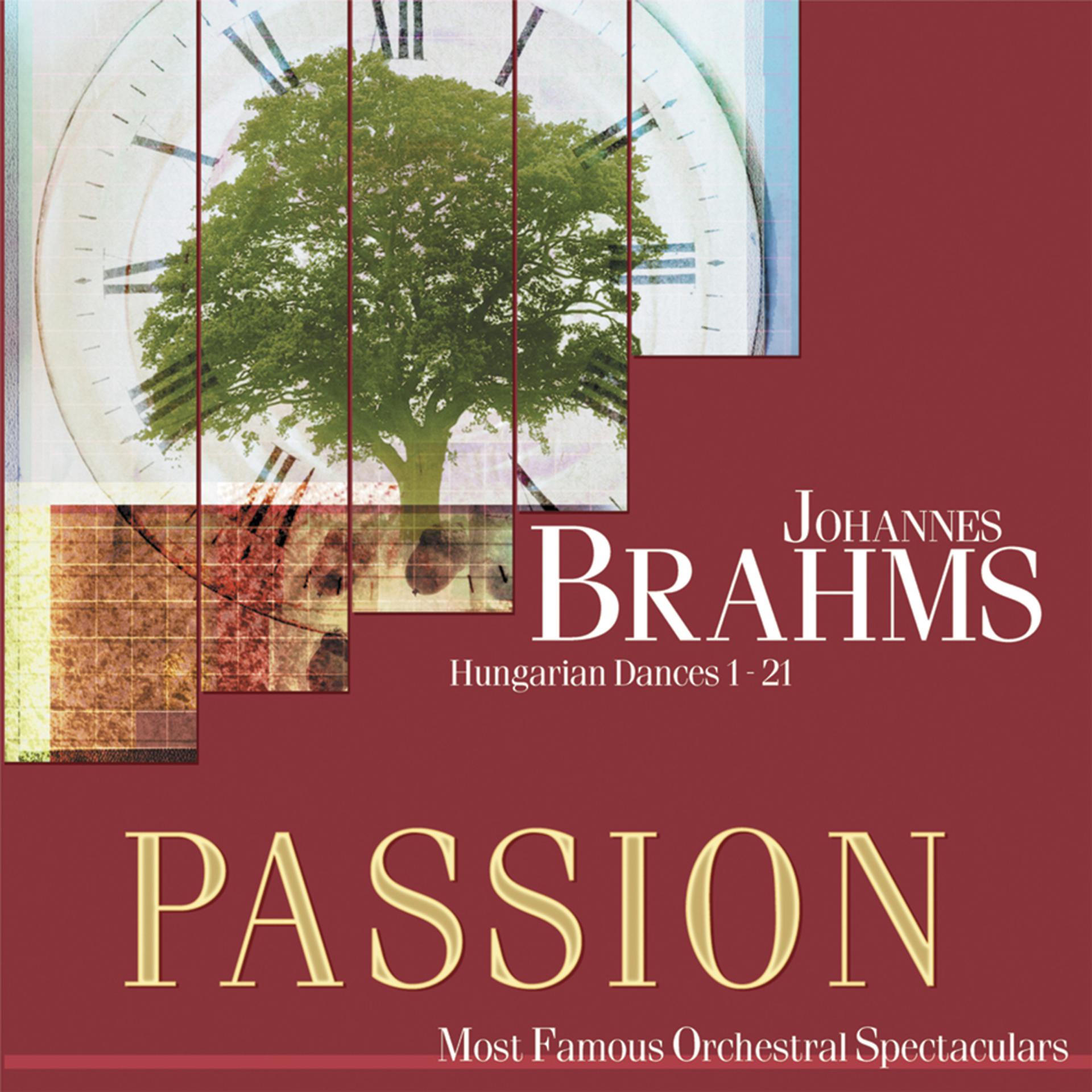Постер альбома Passion: Most Famous Orchestal Spectaculars - Brahms: Hungarian Dances 1-21