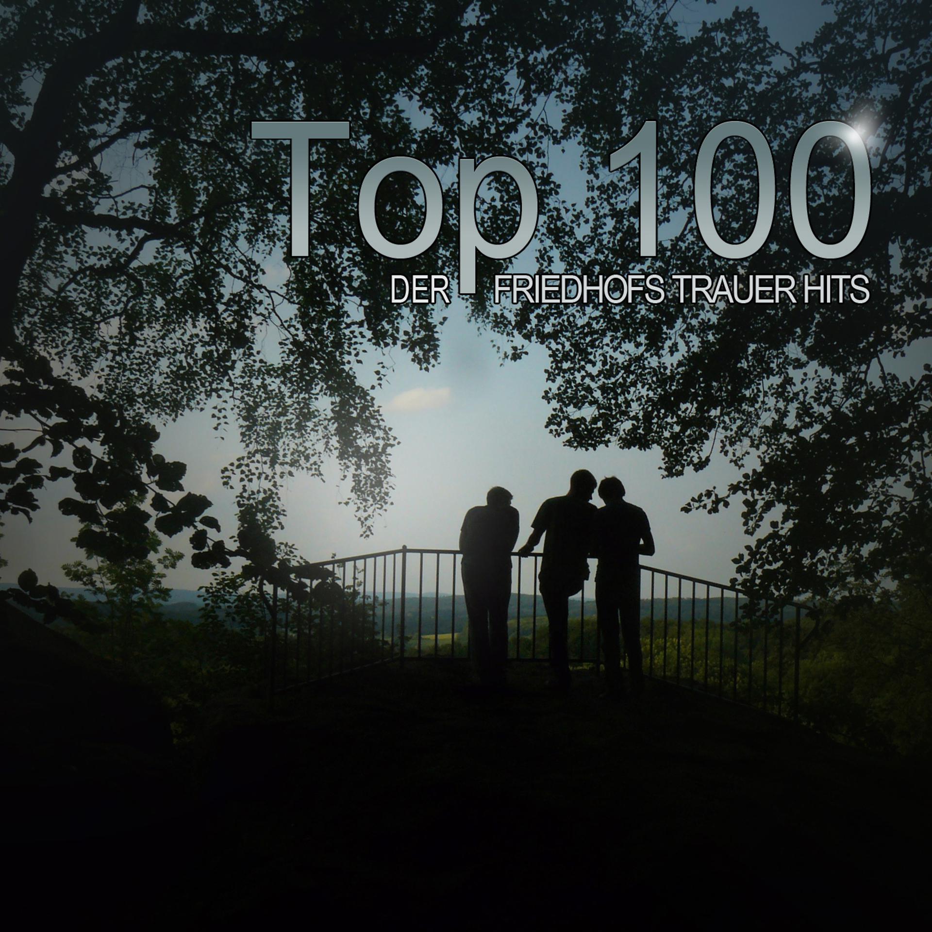 Постер альбома Top 100 Der Friedhofs Trauer Hits