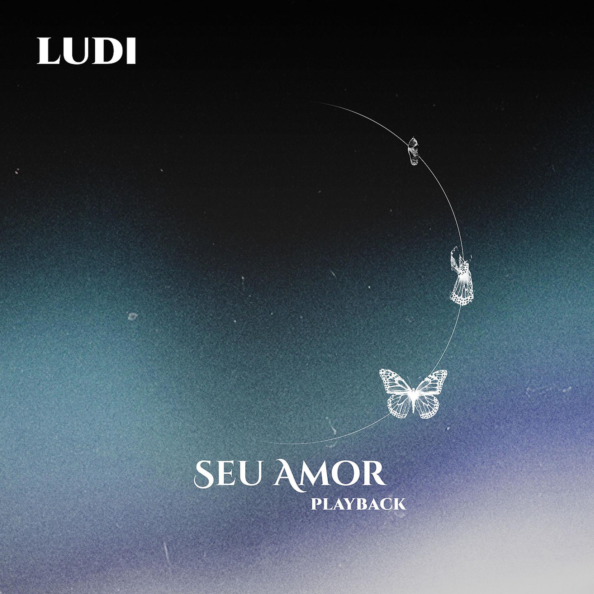 Постер альбома Seu Amor