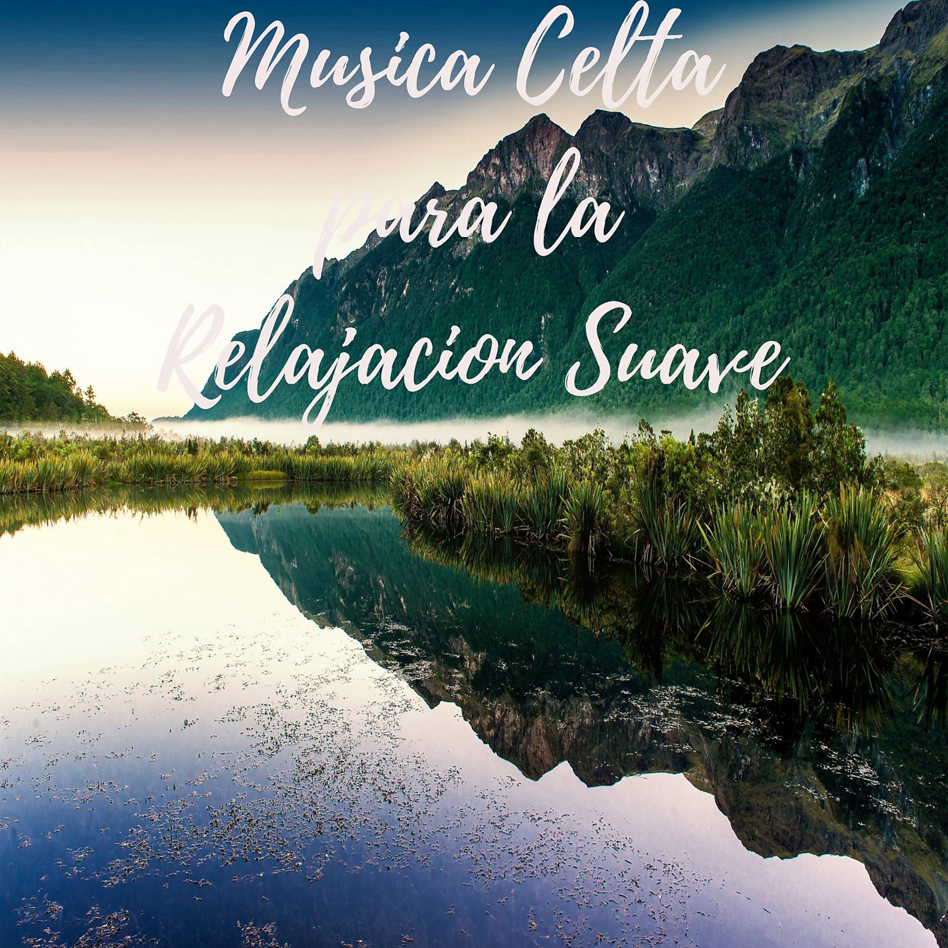 Постер альбома Musica Celta para la Relajacion Suave
