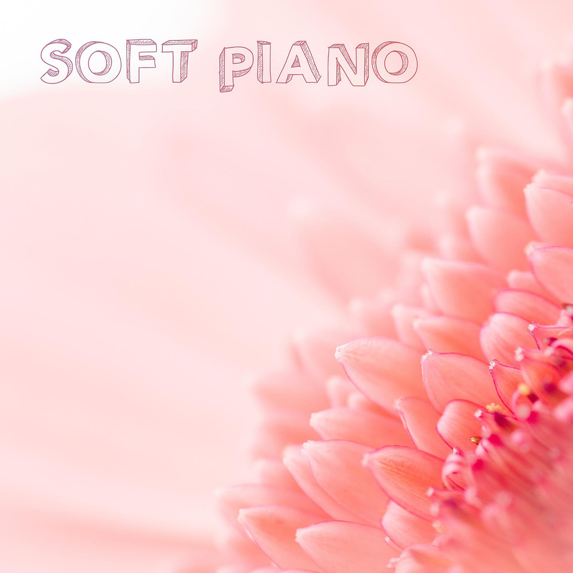 Постер альбома Soft Piano