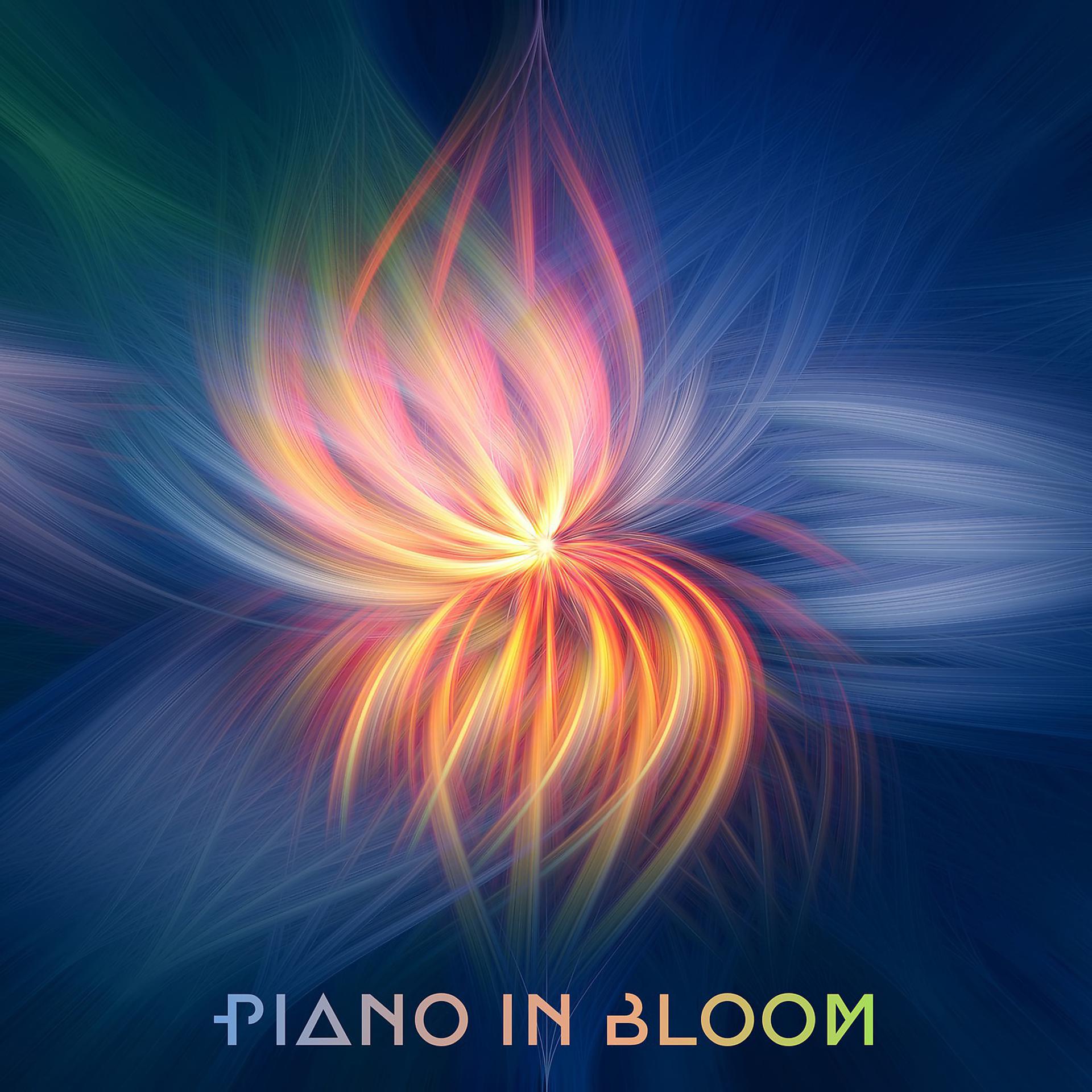 Постер альбома Piano in Bloom