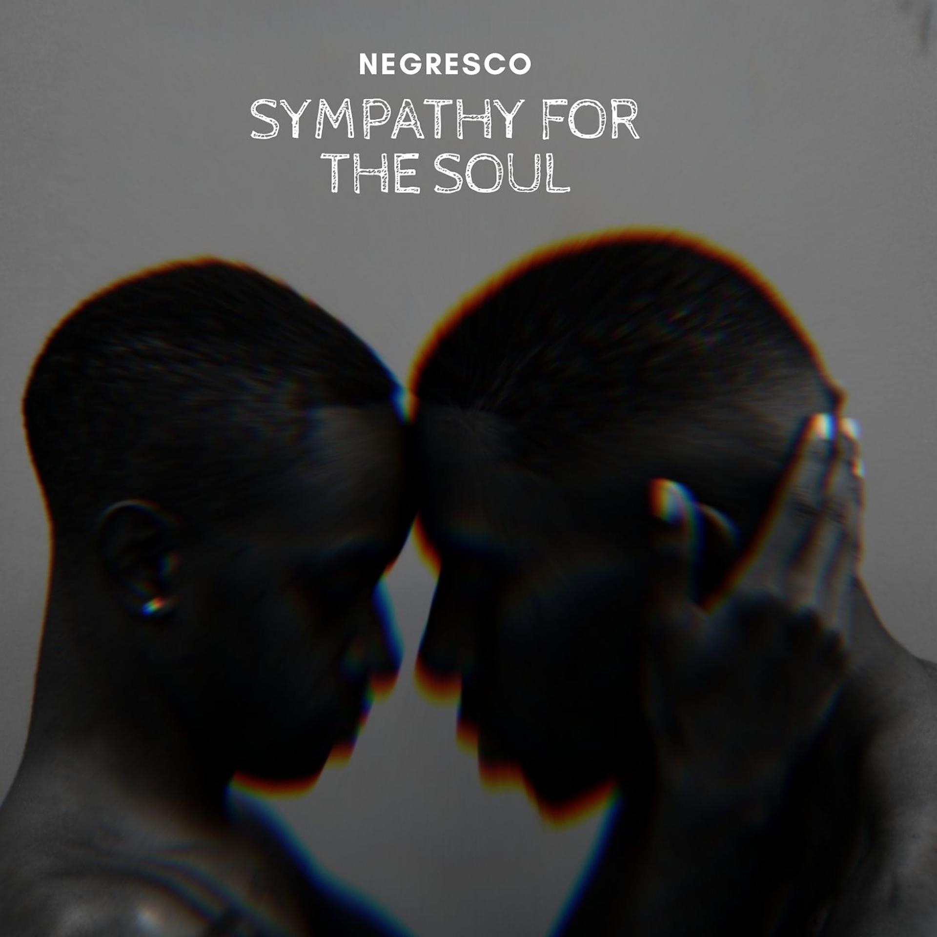 Постер альбома Sympathy for the Soul