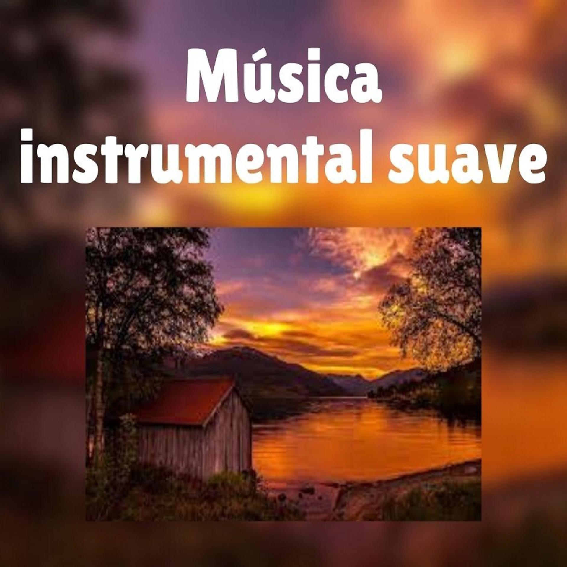 Постер альбома Música Instrumental Suave