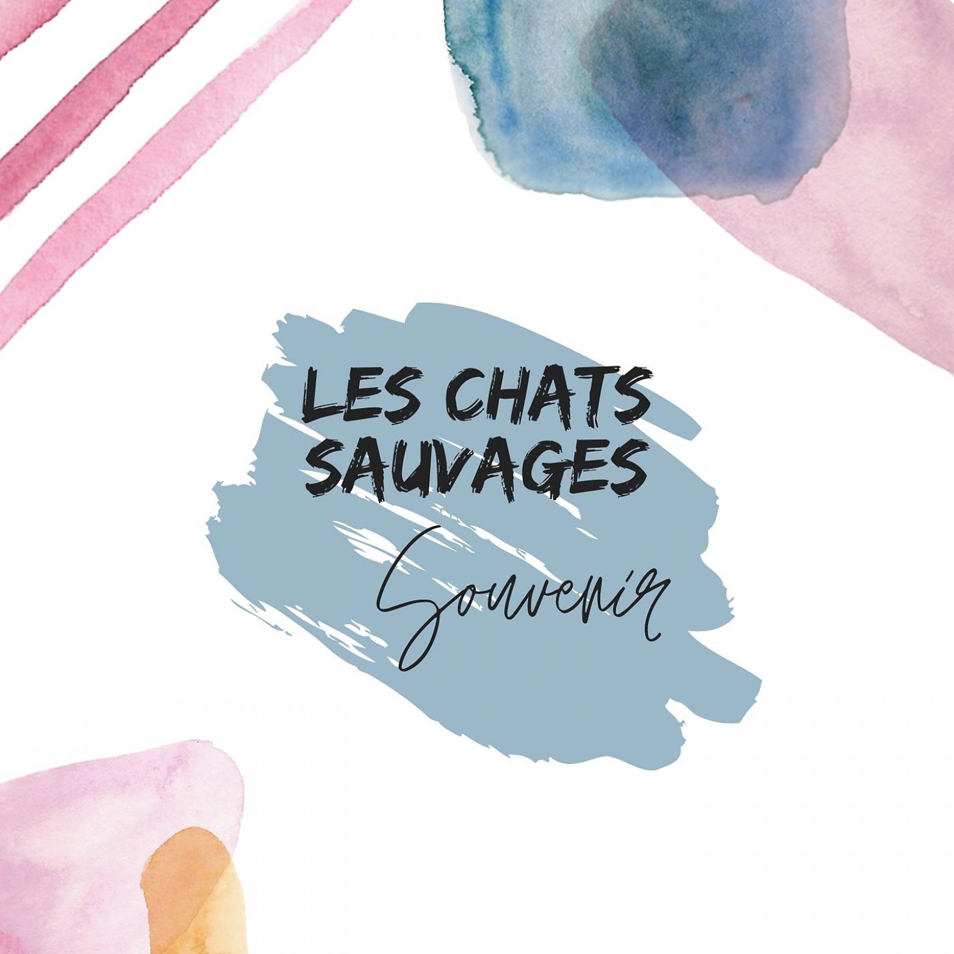 Постер альбома Les chats sauvages - souvenir