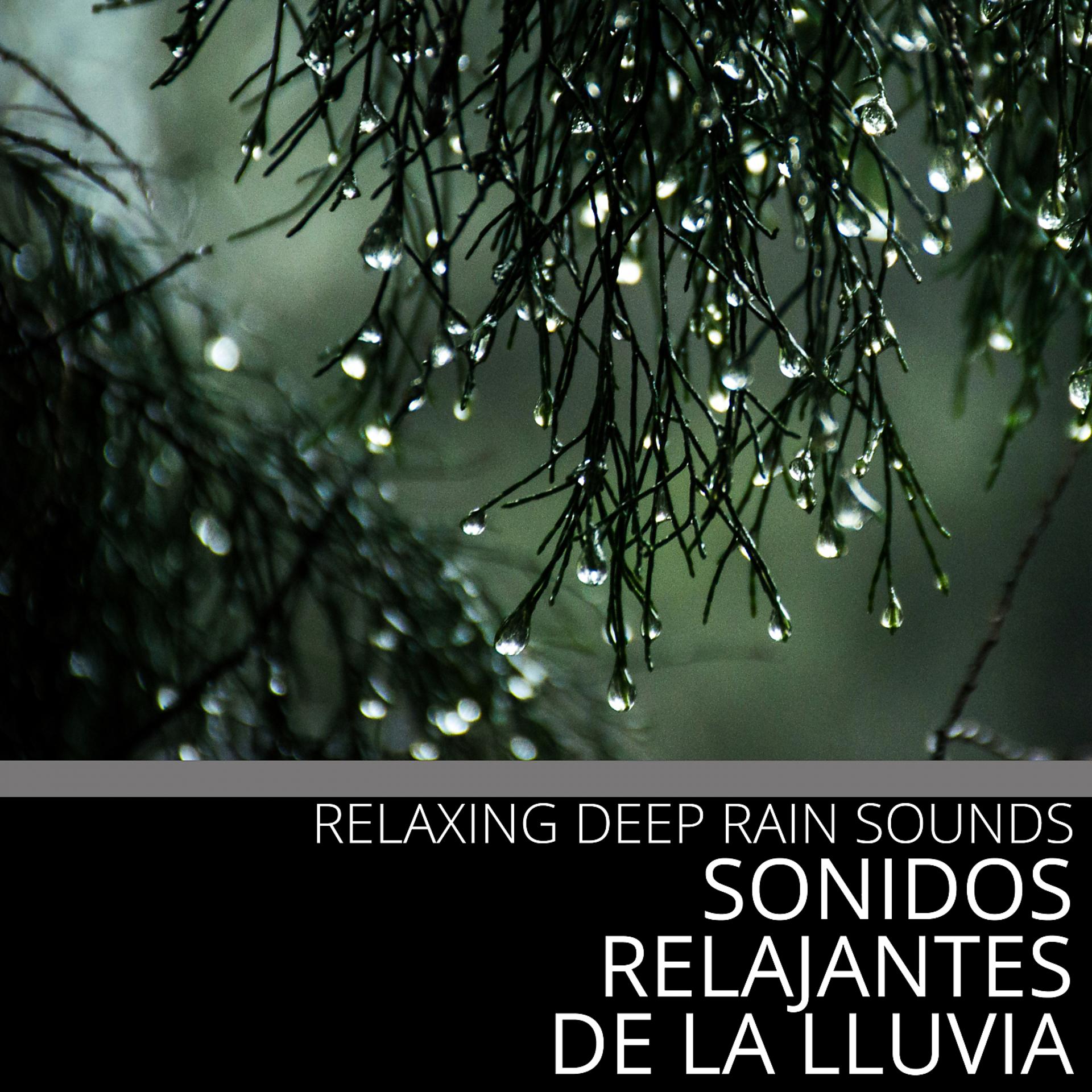 Постер альбома Relaxing Rain Sound