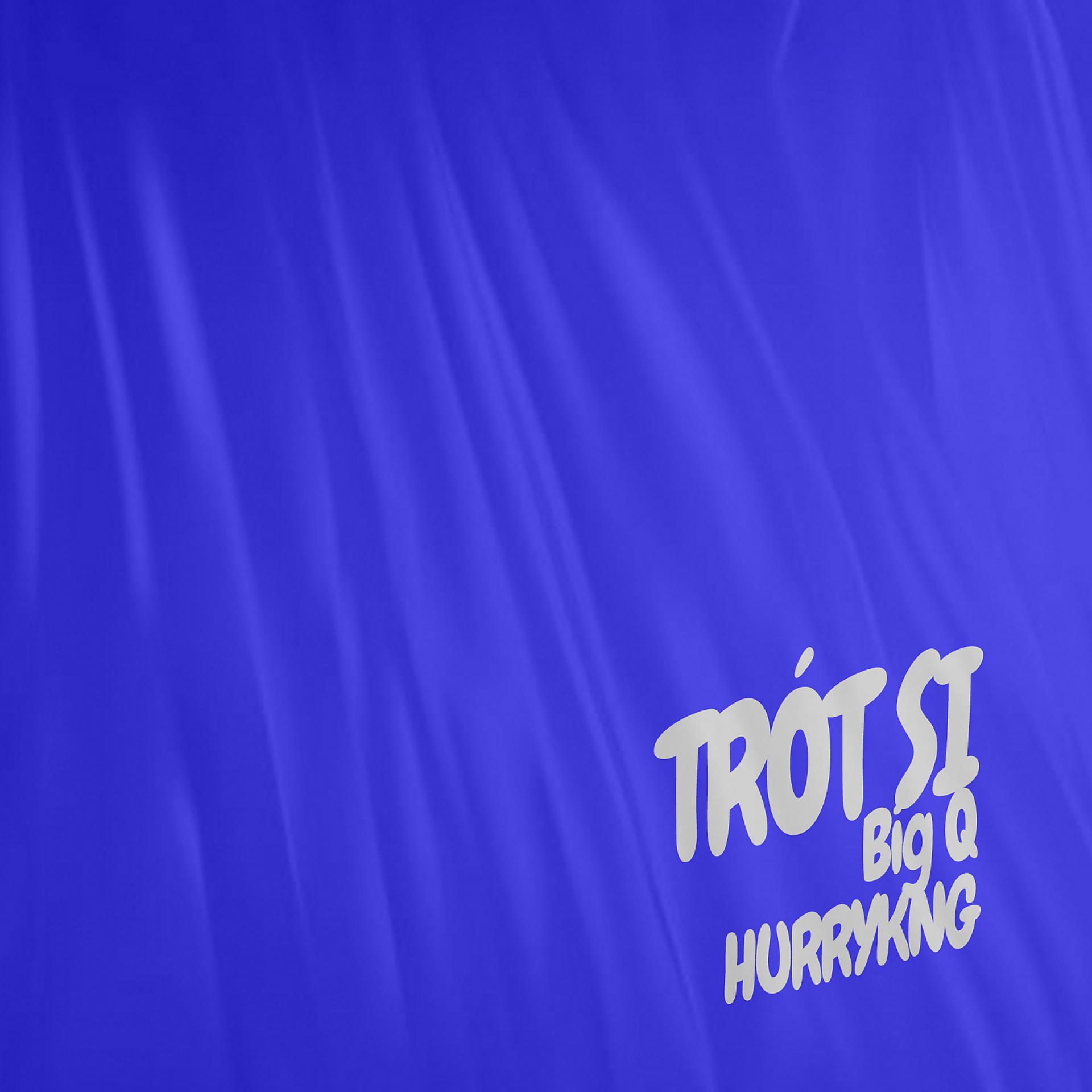 Постер альбома Trót Si