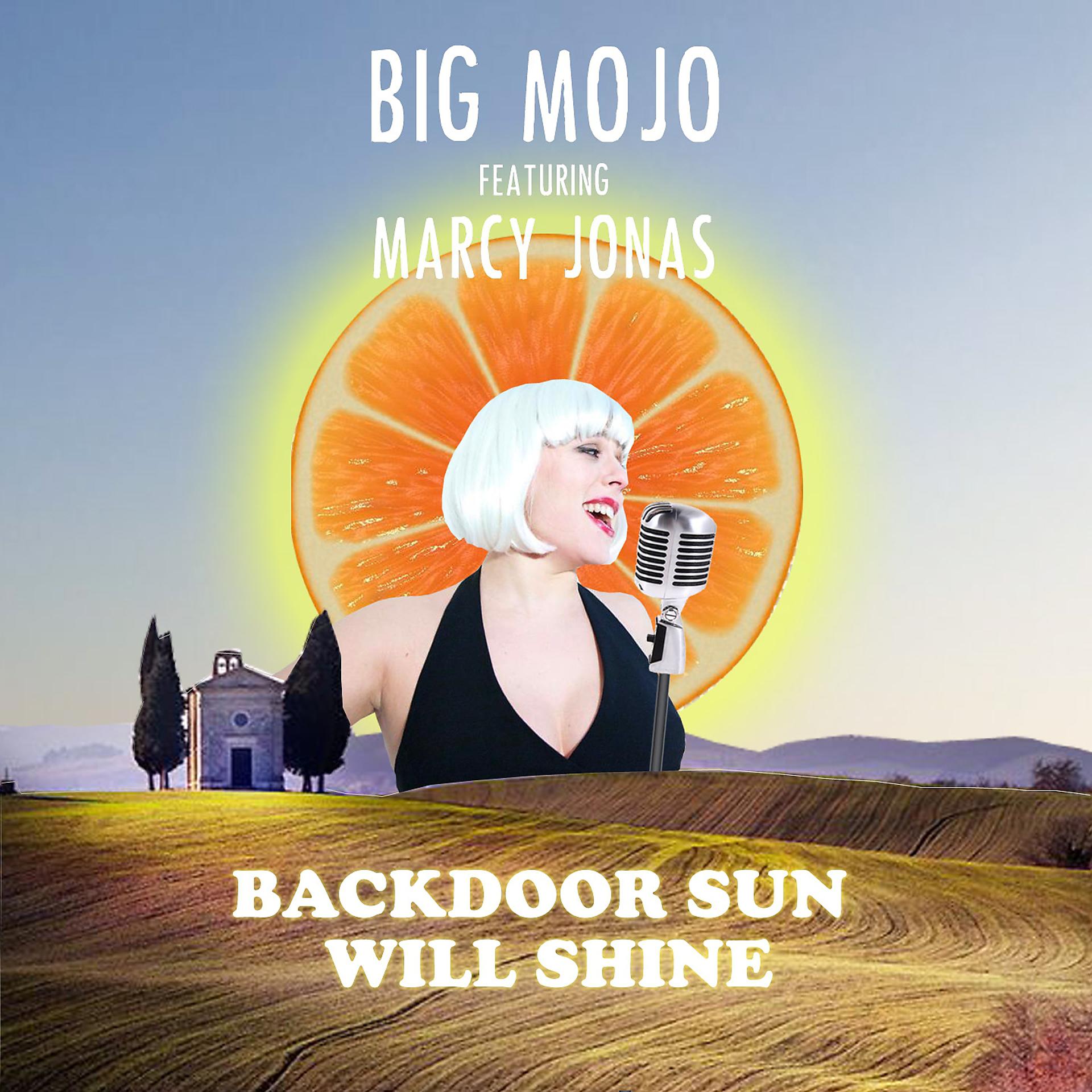 Постер альбома Backdoor sun will shine