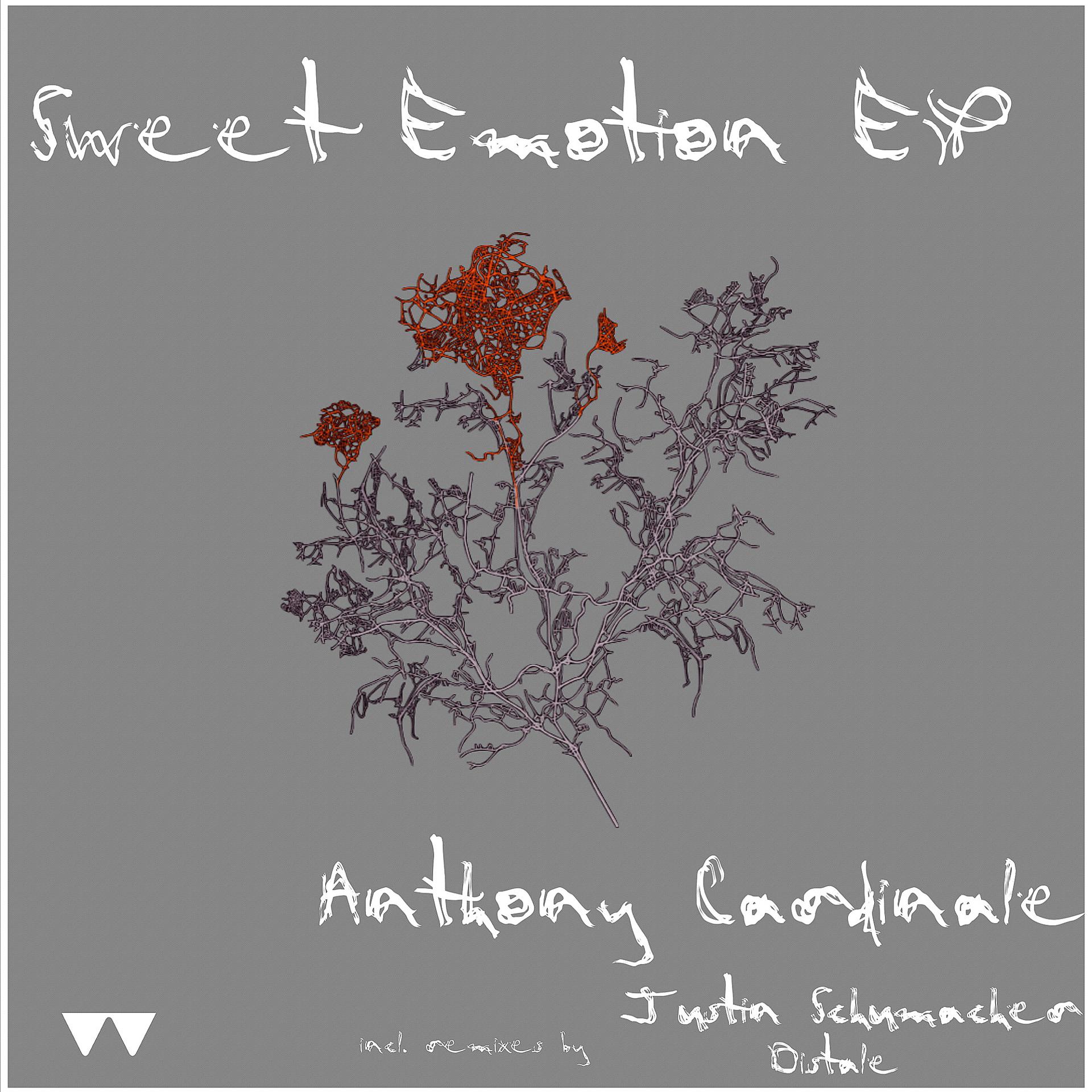 Постер альбома Sweet Emotions EP