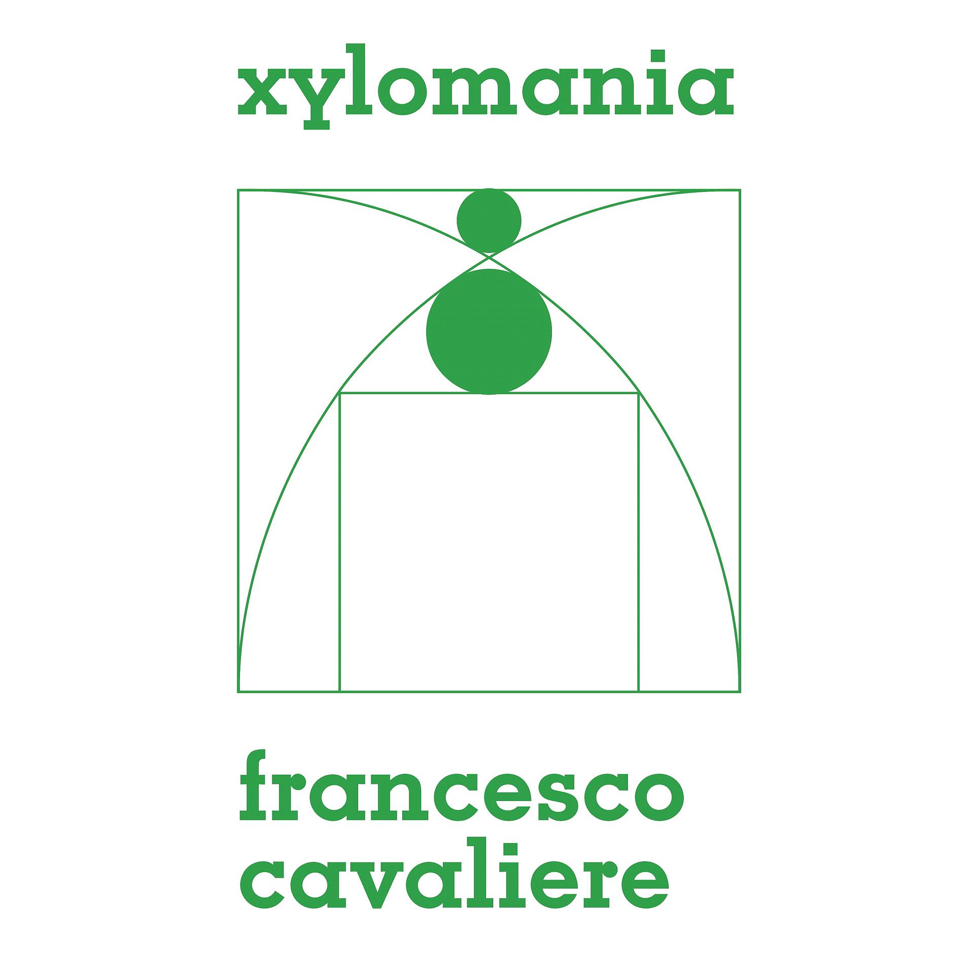 Постер альбома Xylomania