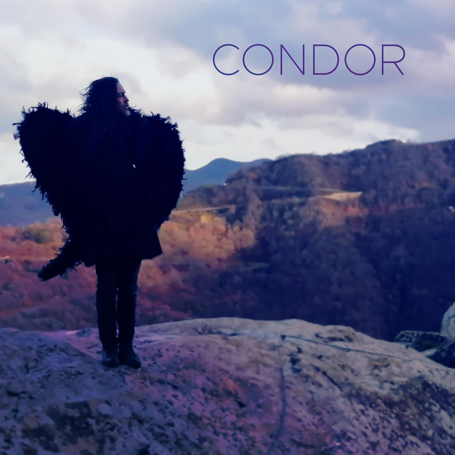 Постер альбома Condor