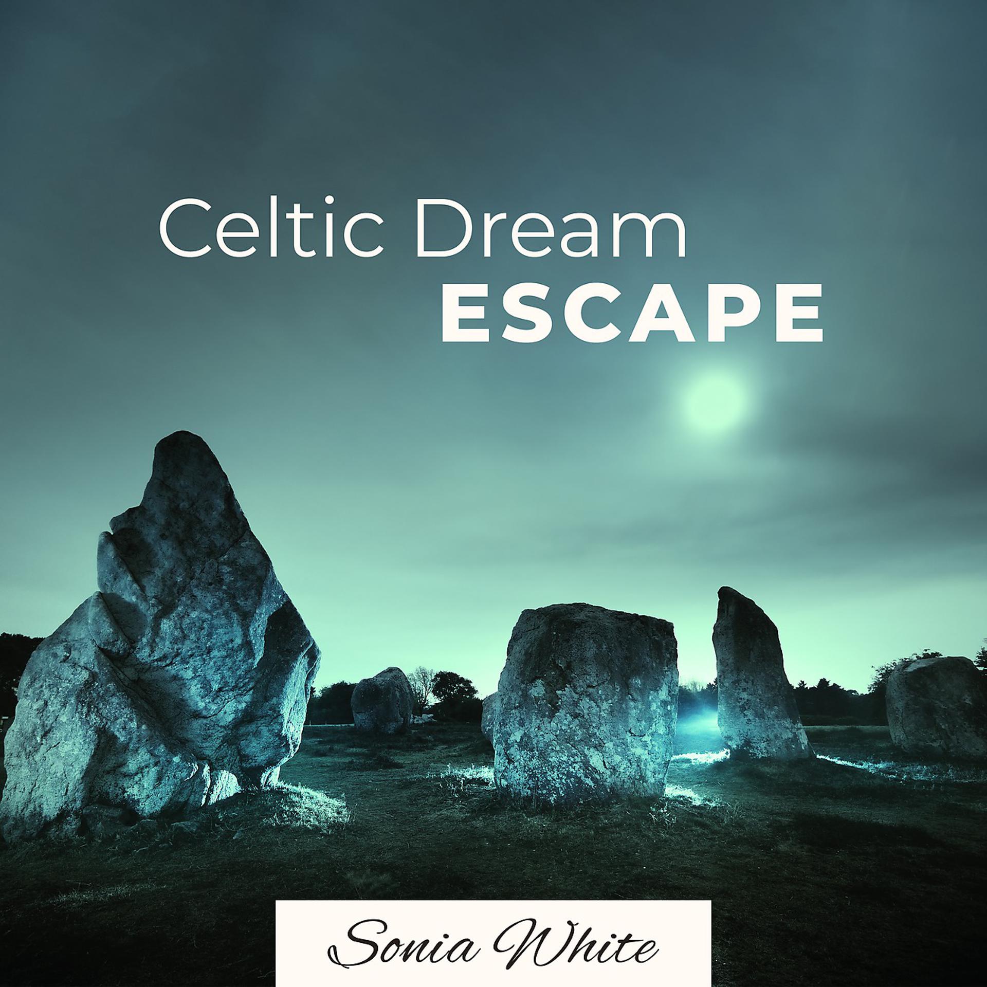 Постер альбома Celtic Dream Escape