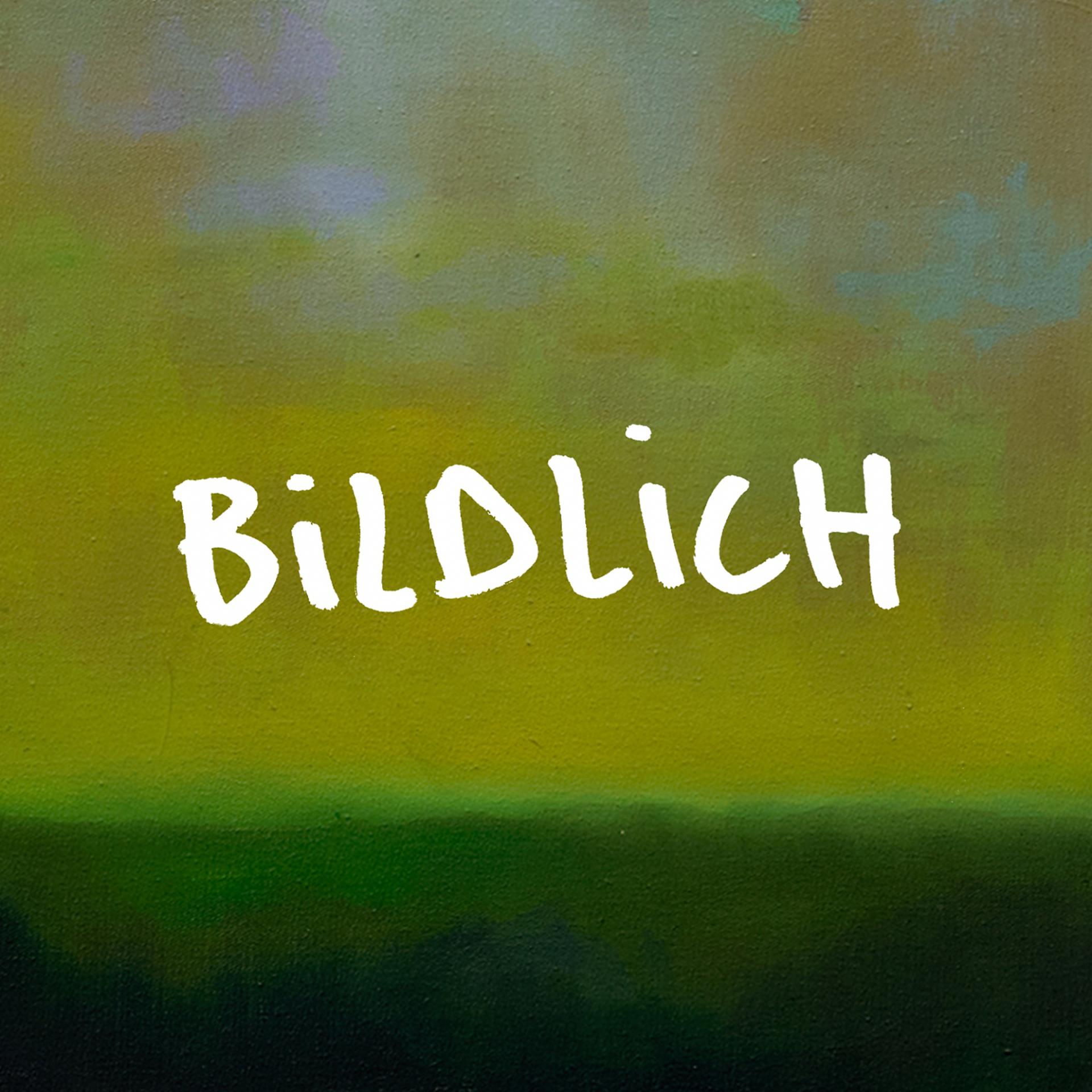 Постер альбома Bildlich