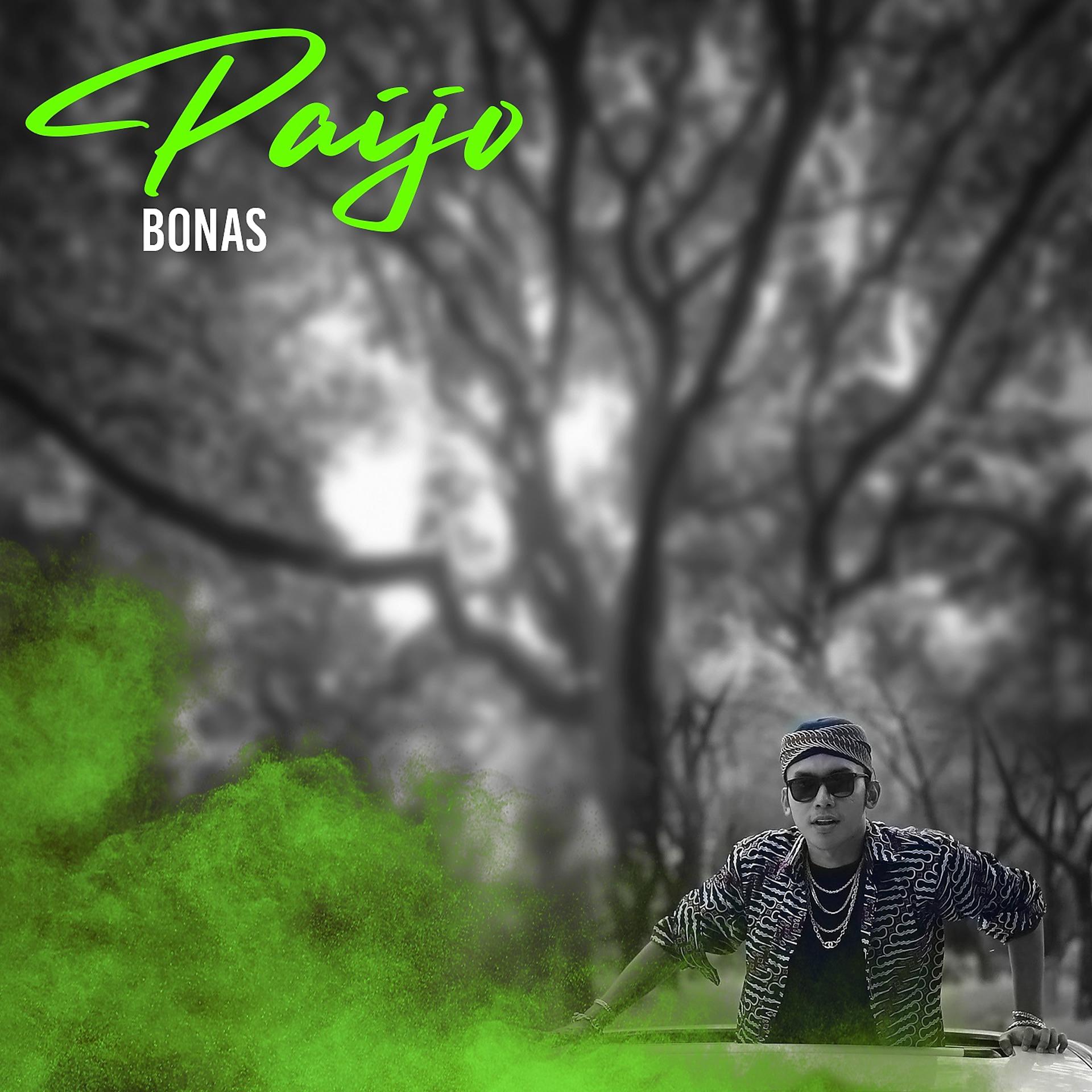 Постер альбома Bonas