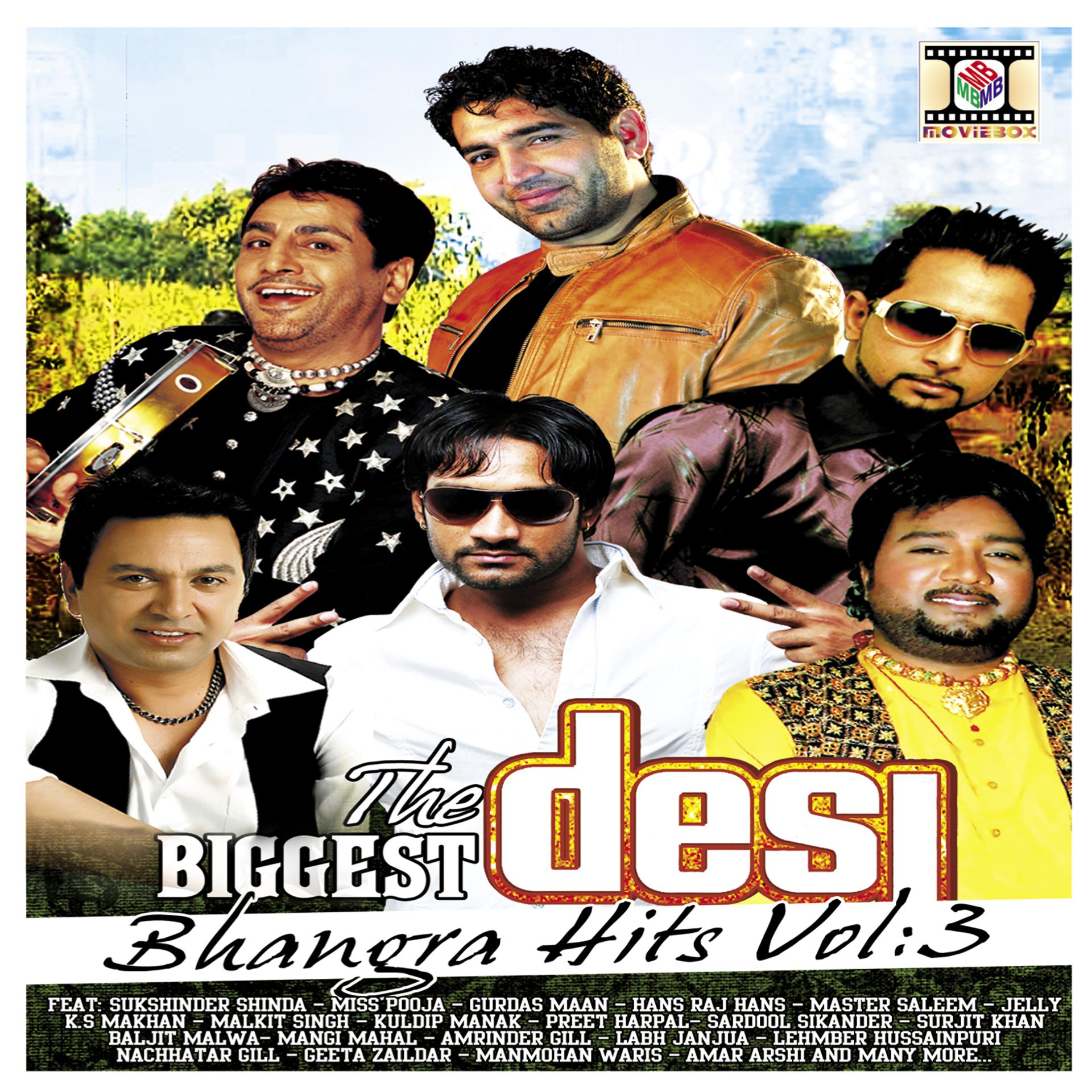 Постер альбома The Biggest Desi Bhangra Hits, Vol. 3
