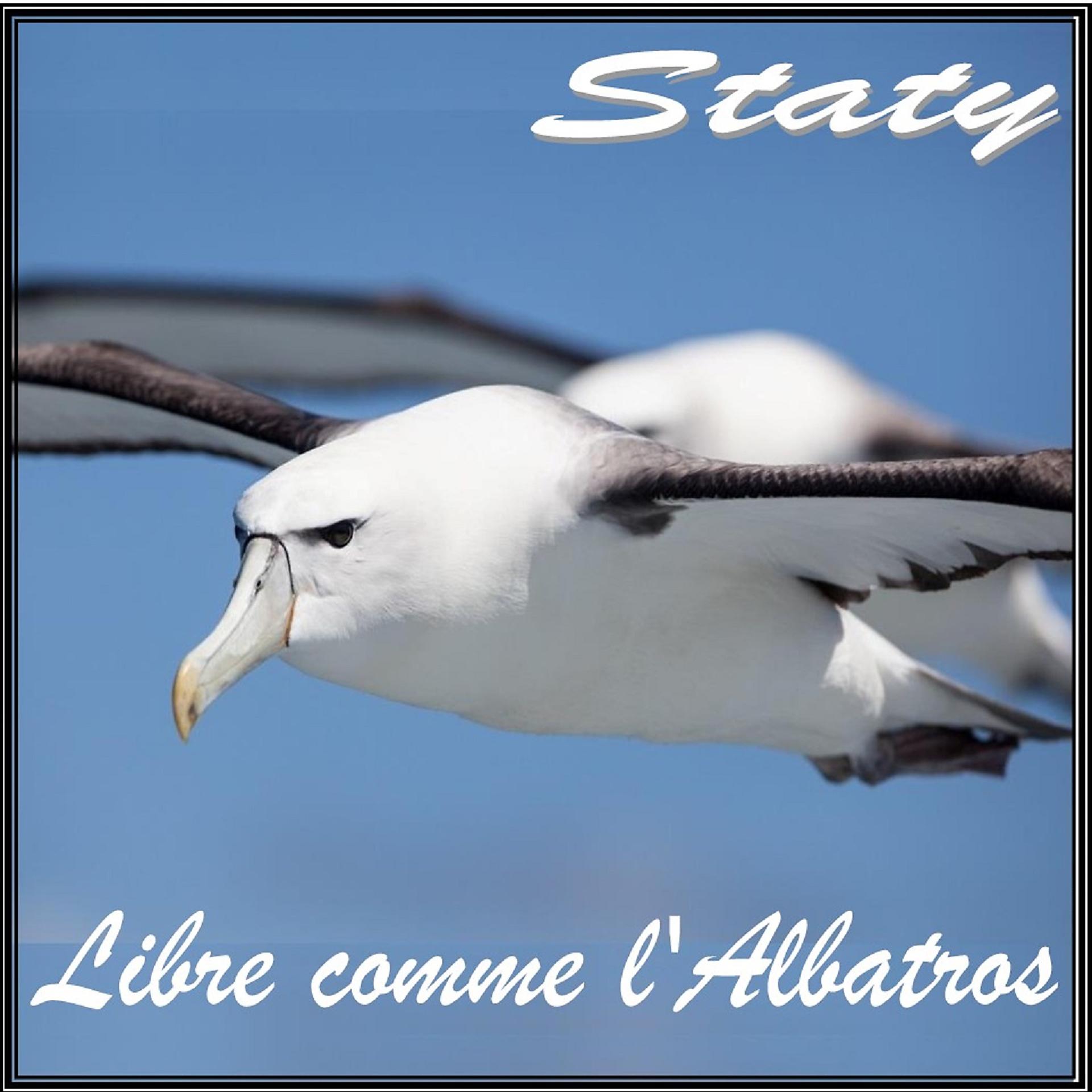 Постер альбома Libre comme l'albatros