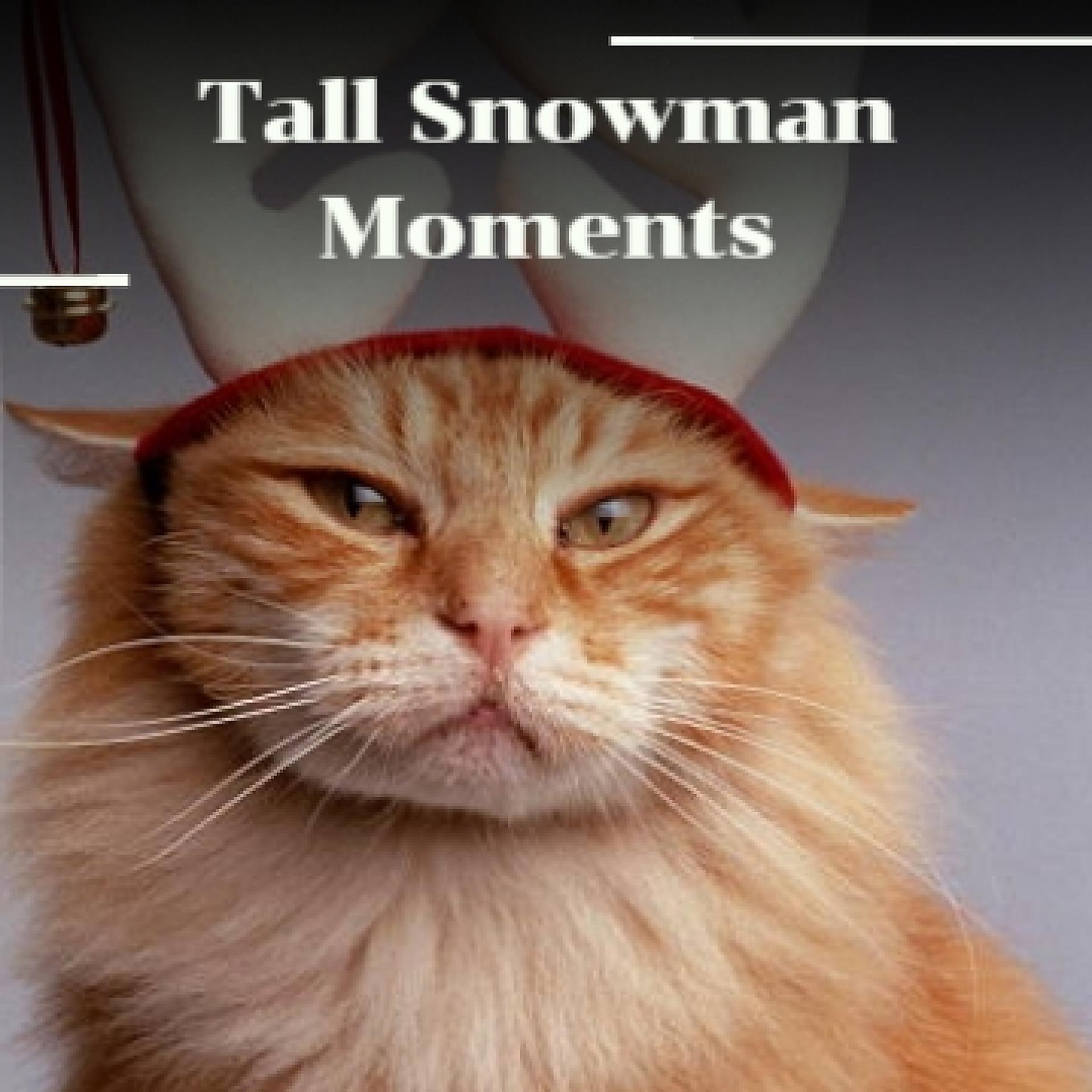 Постер альбома Tall Snowman Moments