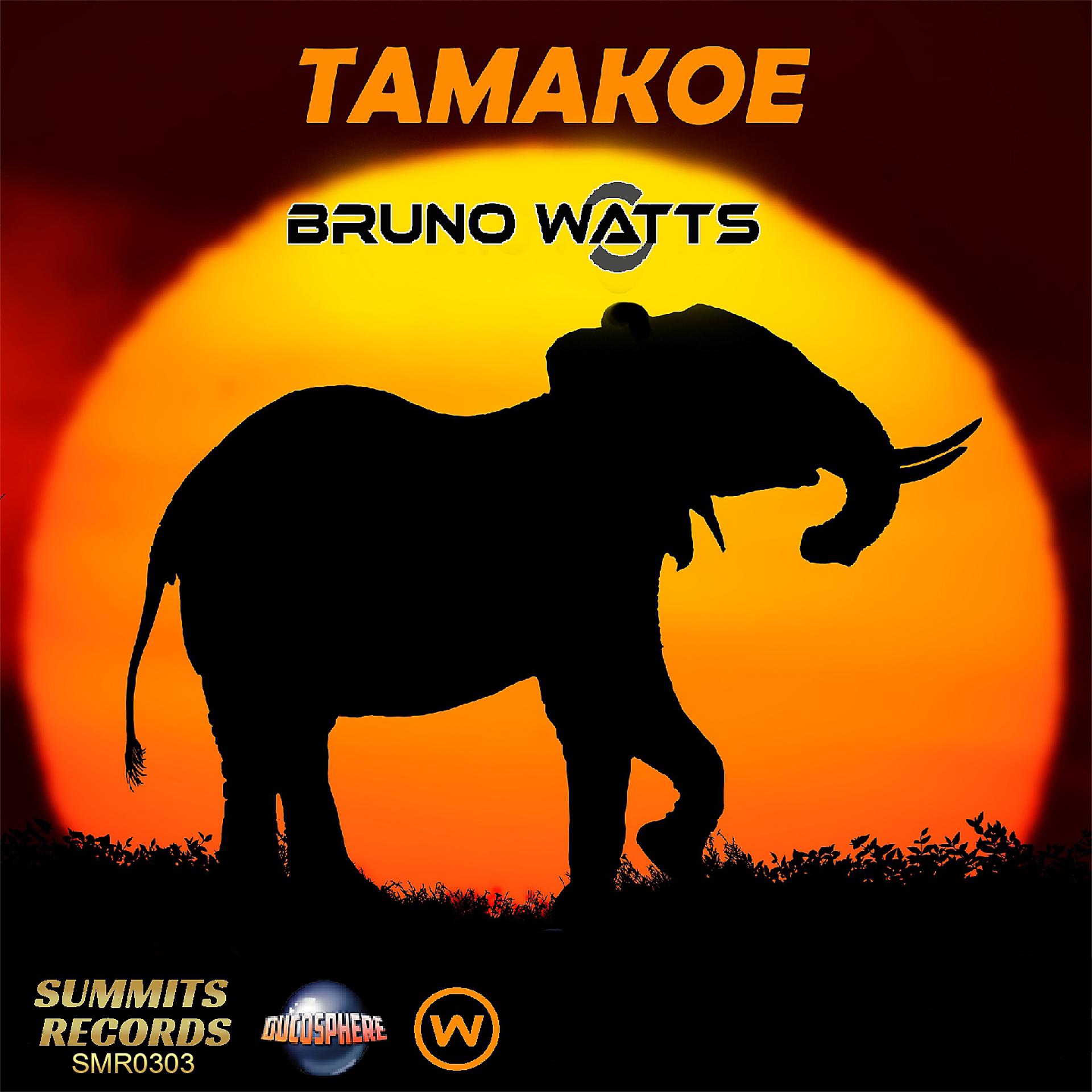 Постер альбома Tamakoe