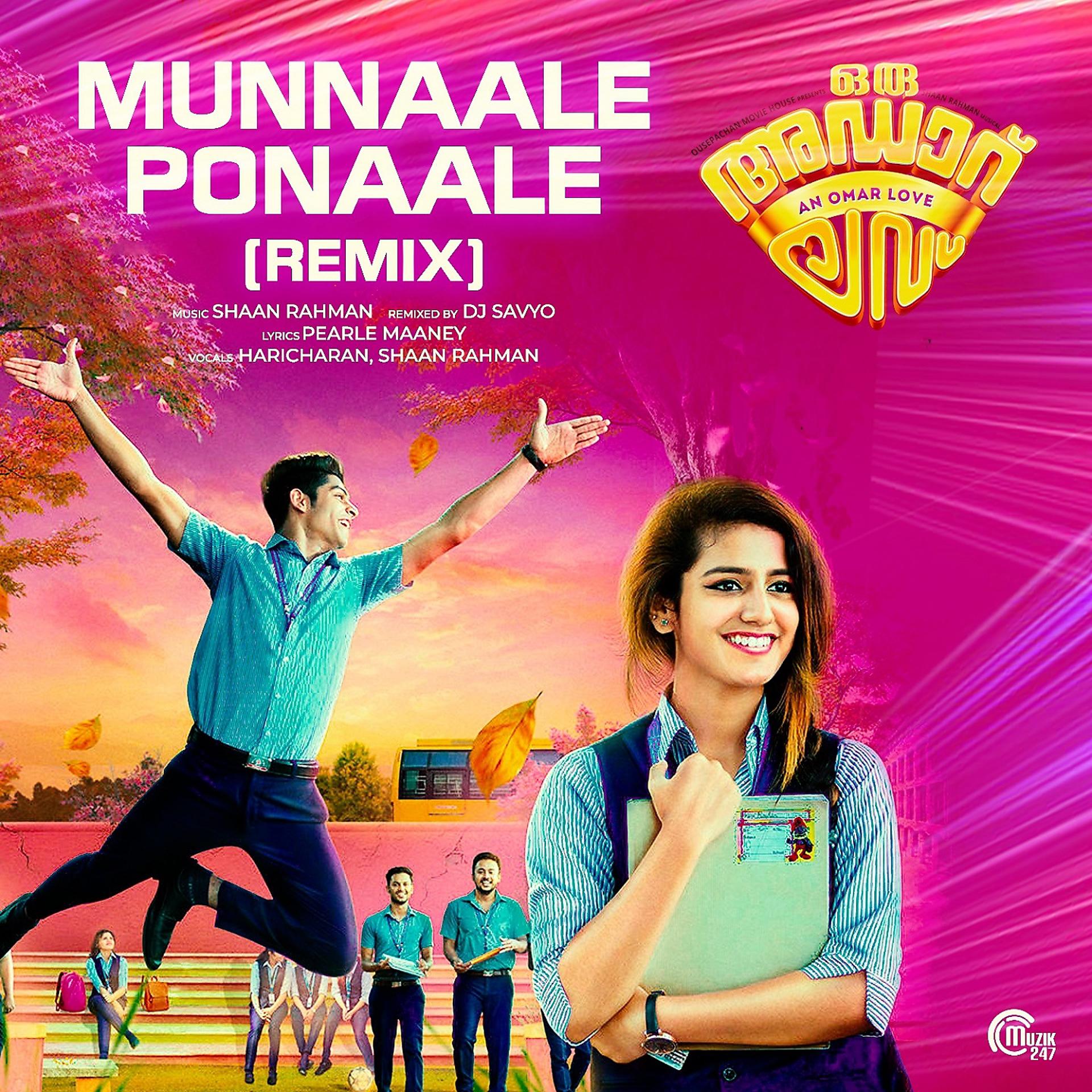 Постер альбома Munnaale Ponaale (Remix Version)